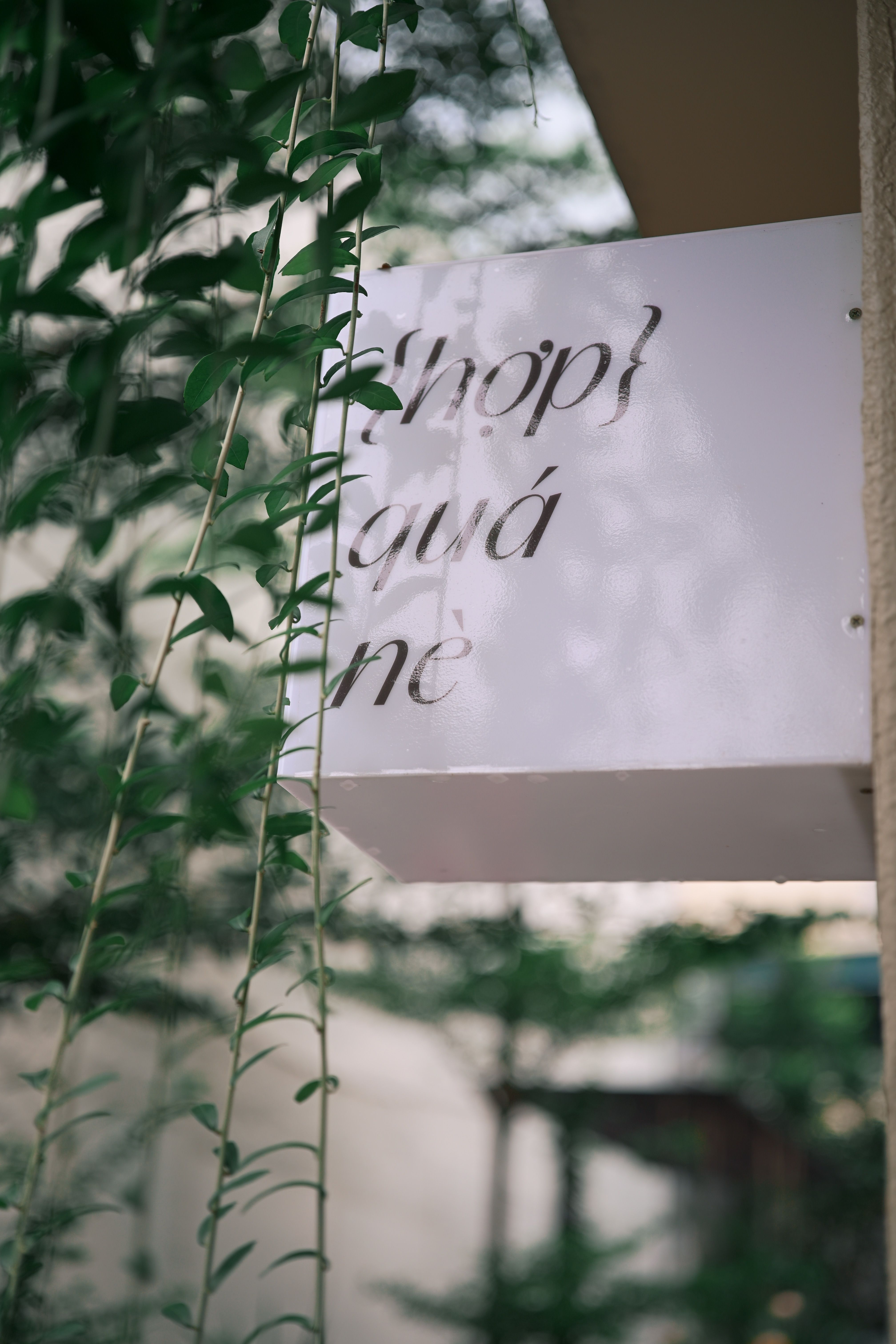 White shop sign surrounded by lush green vines in an outdoor setting, offering a serene vibe.