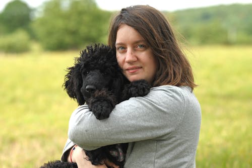 Vet Q&A: Why Your Dog’s Appetite Drops in Humidity