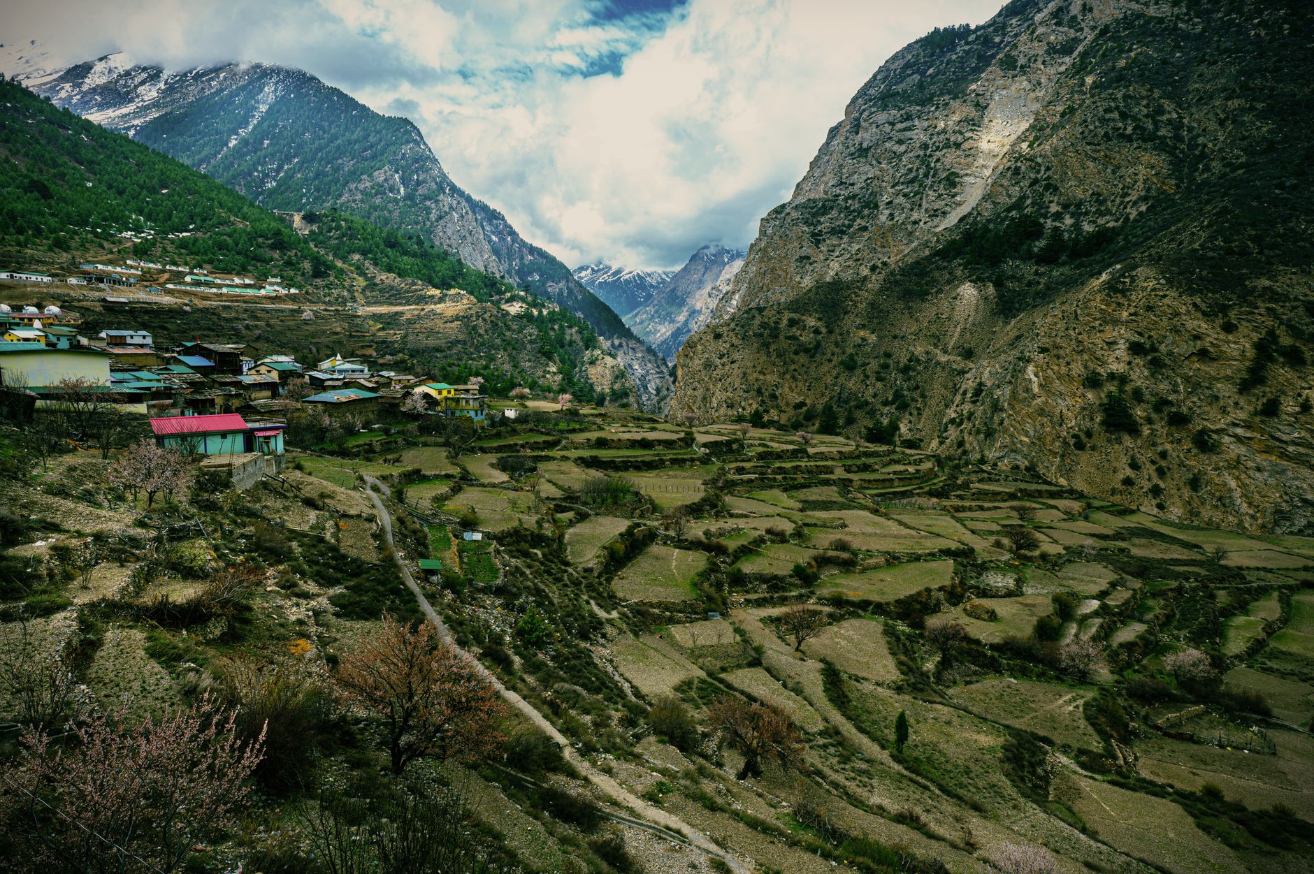 A stunning view of terraced fields and mountains in a Himalayan village, Uttarakhand.