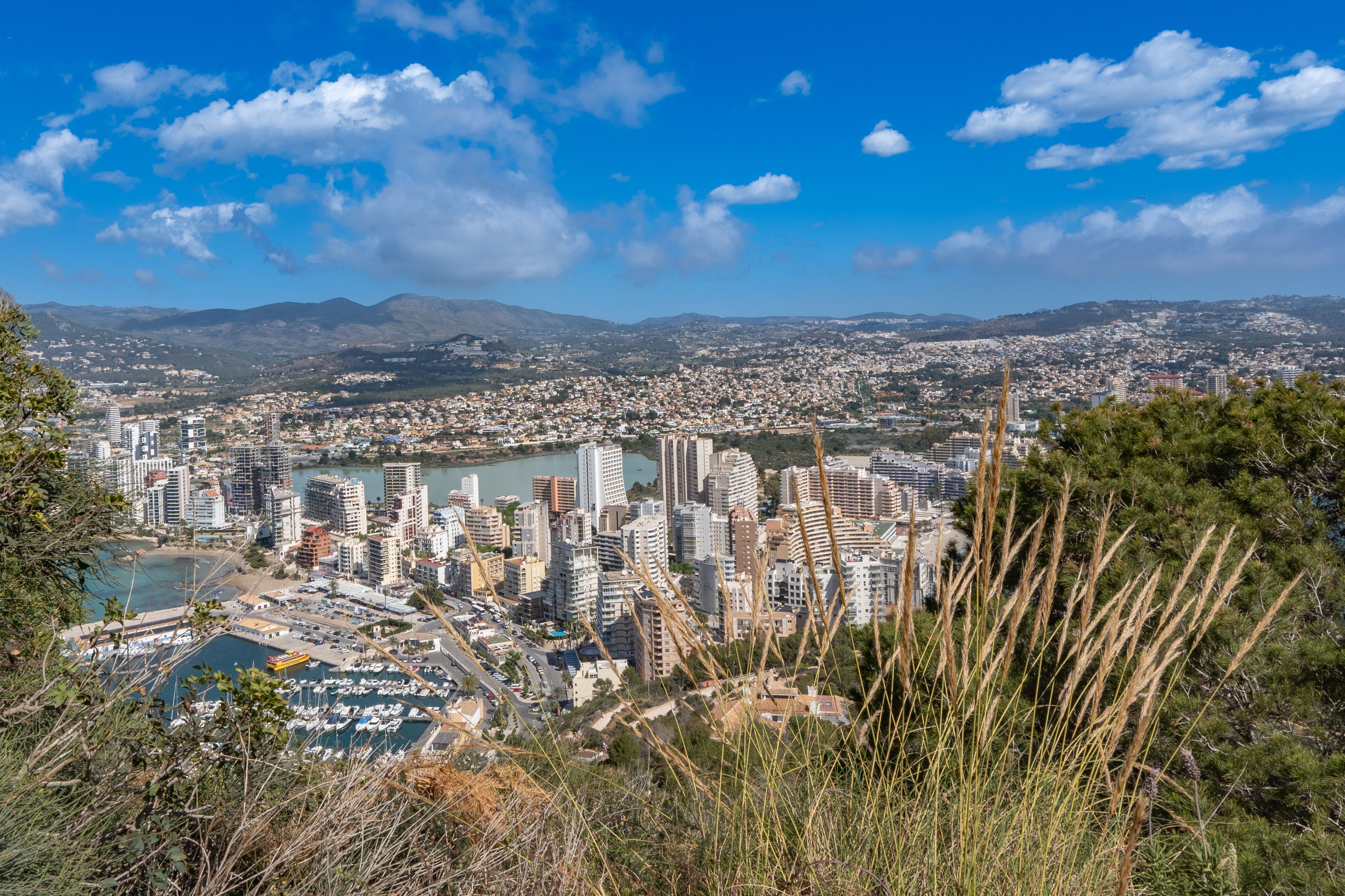 Calp
