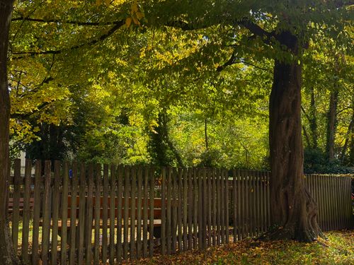 Free A peaceful autumn landscape featuring a wooden fence and lush trees. Stock Photo