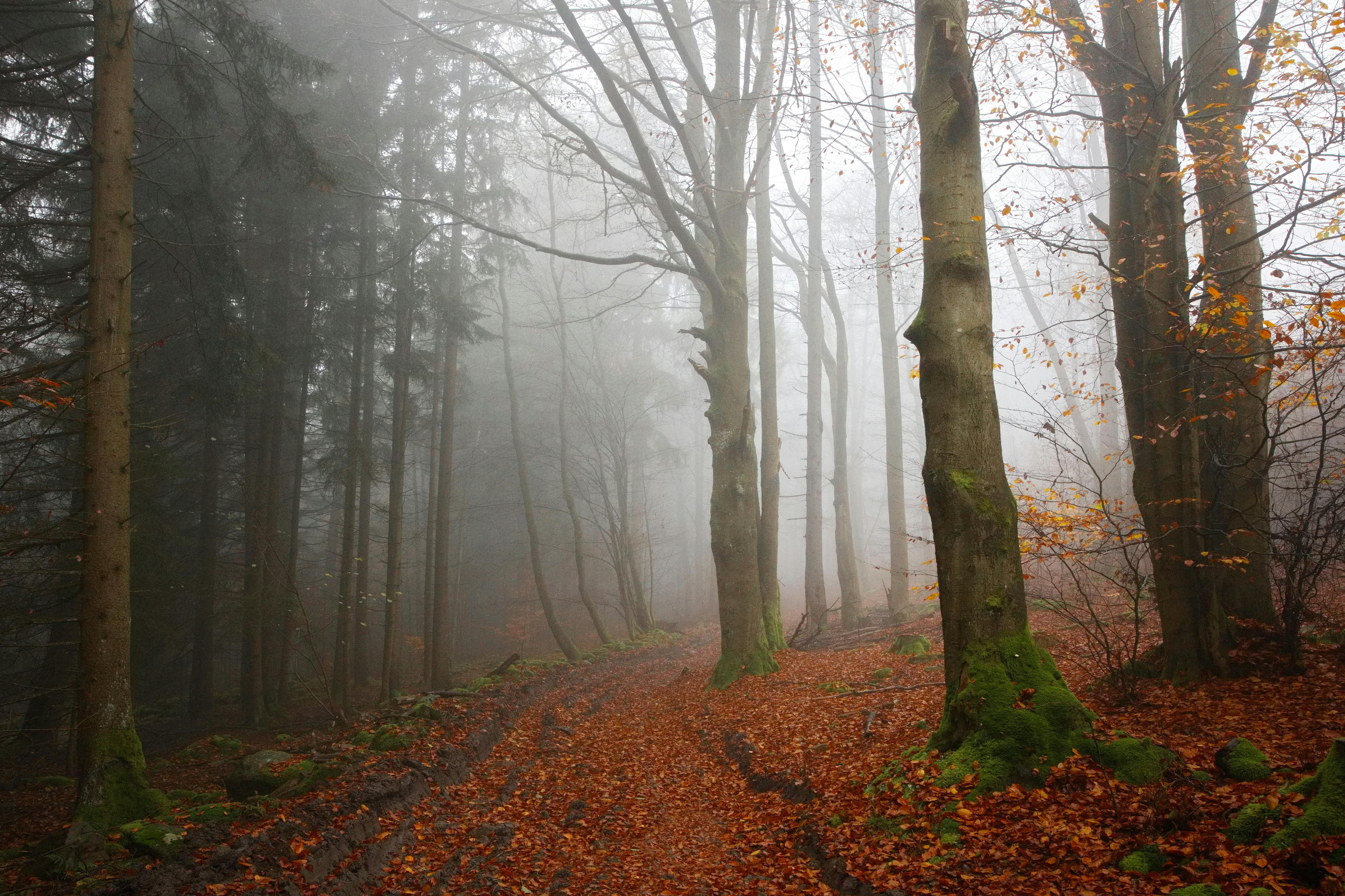 生活：要降溫了！全台變天轉雨時間最新預報出爐