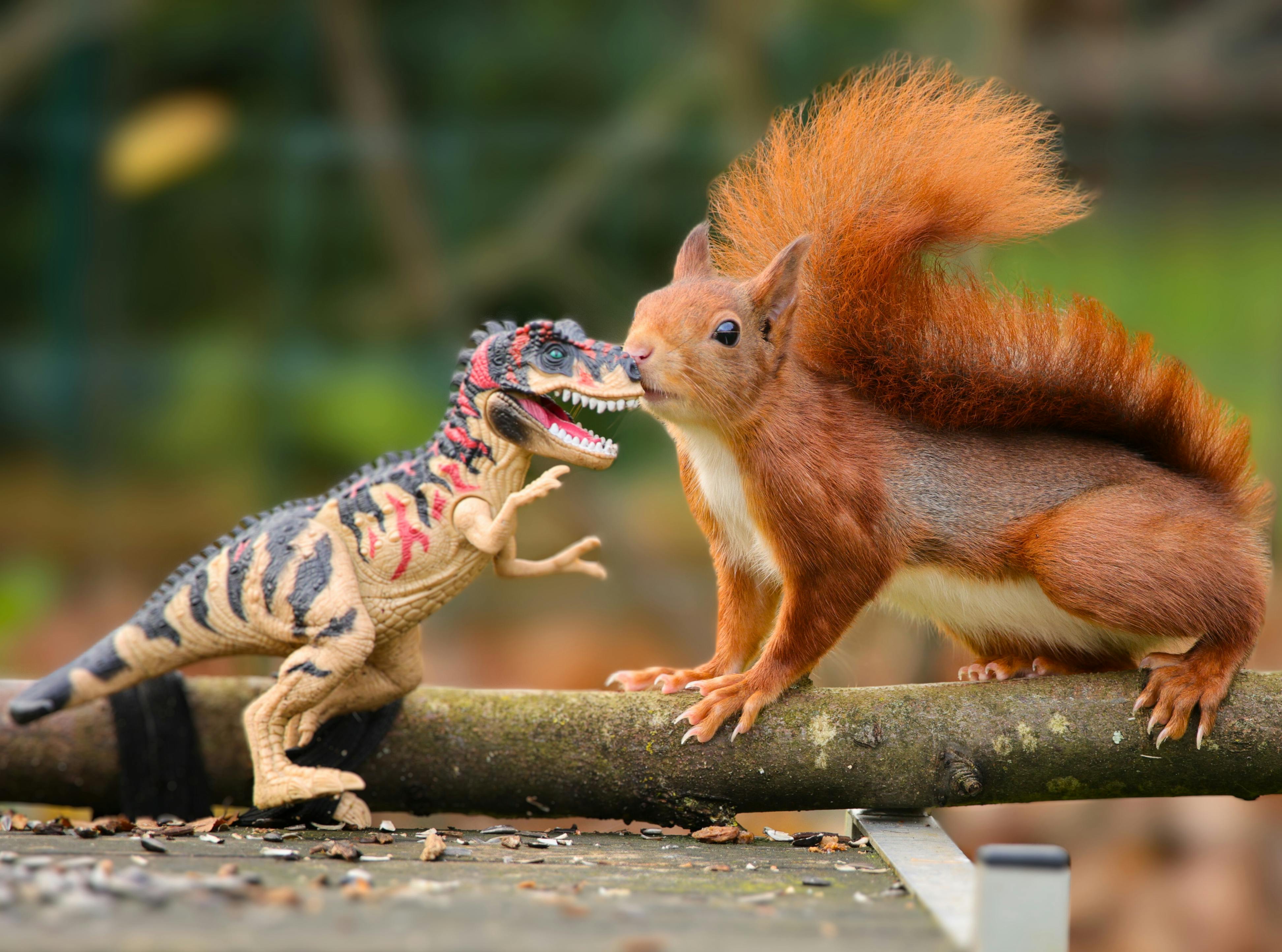 Jurassic dinosaurs had specialized diets to coexist peacefully — Photo by Nancy Ottevaere on Pexels