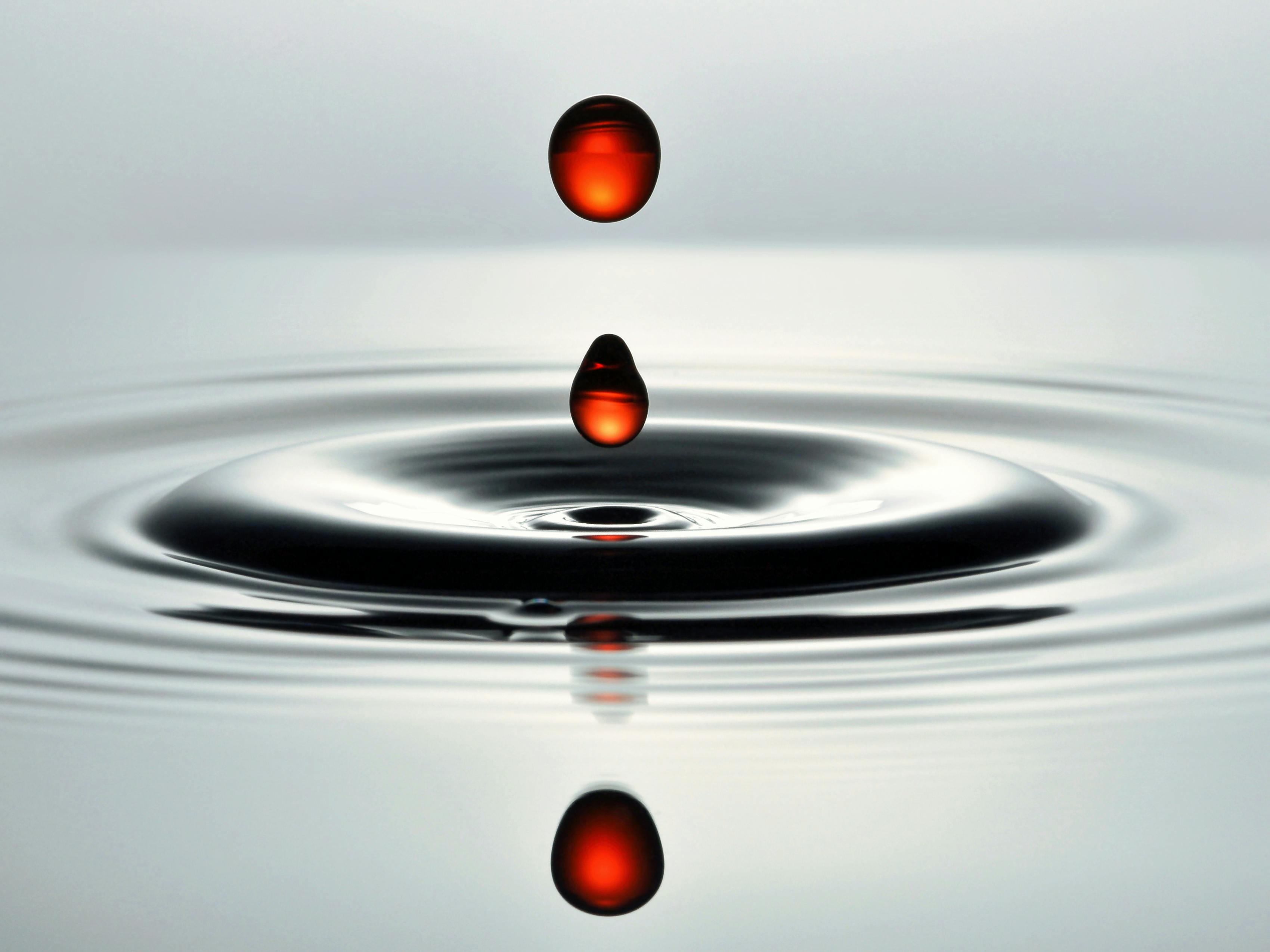 Image : Intuition vs. Impact: Why Smart UX is Your Business's Growth Engine