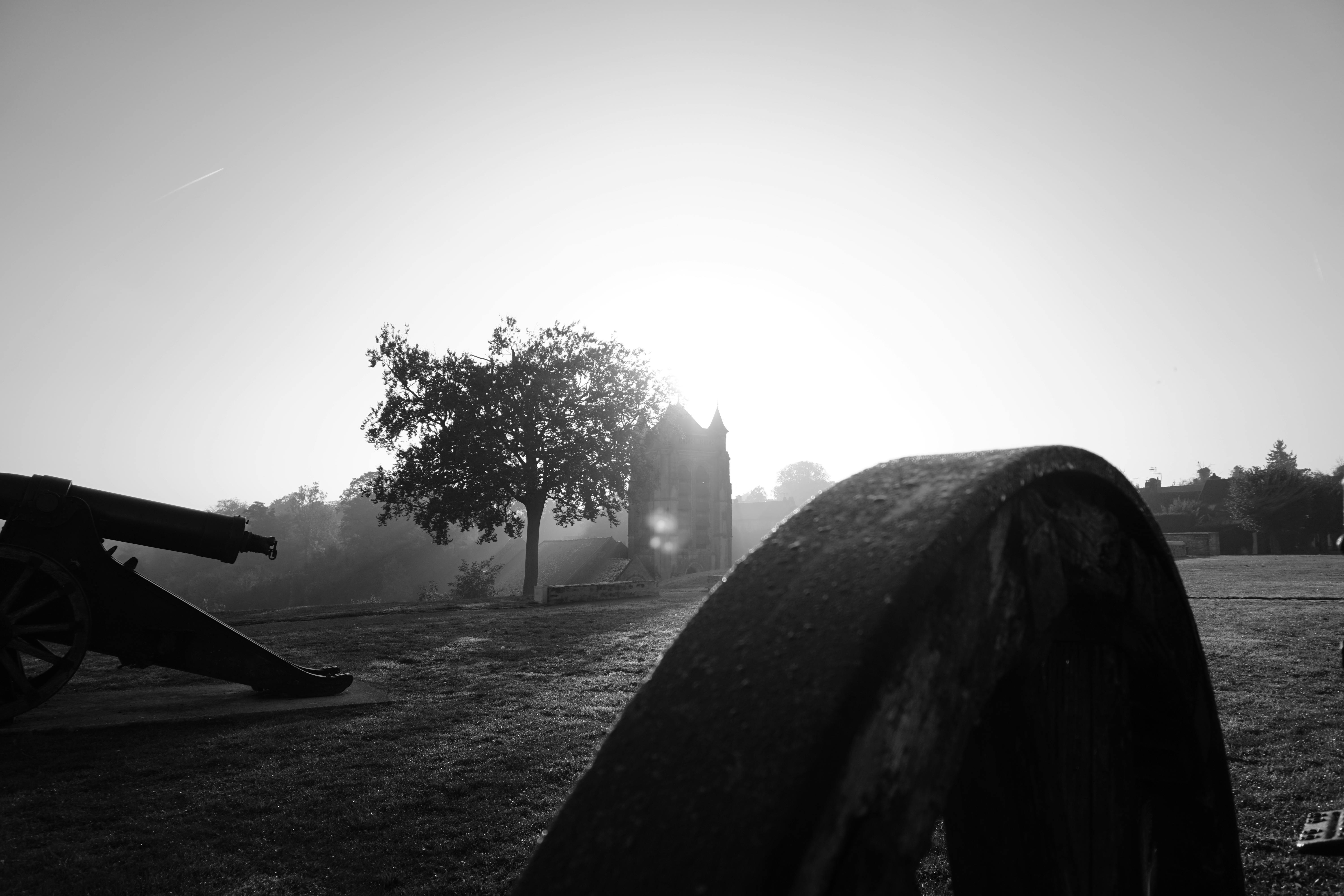 Exploring Scent Travel Experiences: A Journey Through Fragrant Destinations