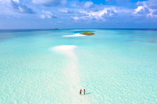 Man and Woman Holding Hands While Standing on Beach