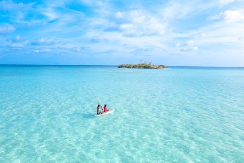 Bird's Eye View Of People Rowing Boat