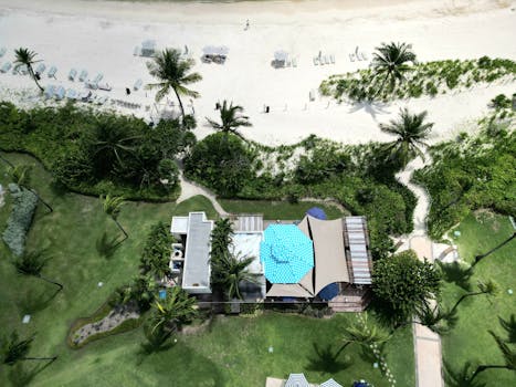 Aerial shot of a tropical beach resort with palm trees, white sand, and clear water.