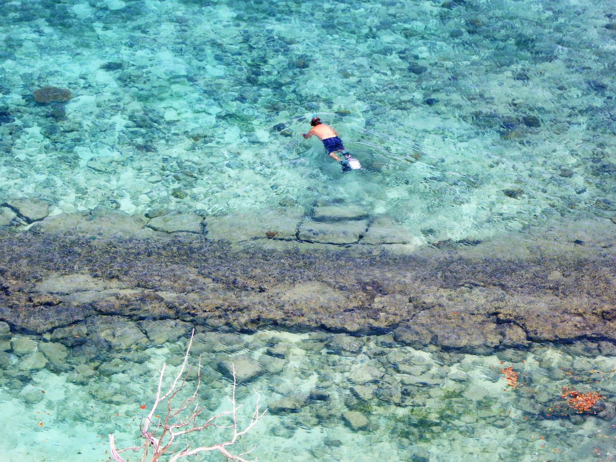Overhead view of a snorkeler exploring the clear waters of New Caledonia's coral reefs.