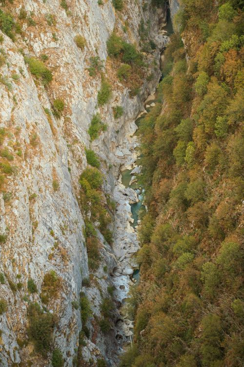 Free Breathtaking aerial view of a narrow canyon with trees and rocky cliffs. Stock Photo