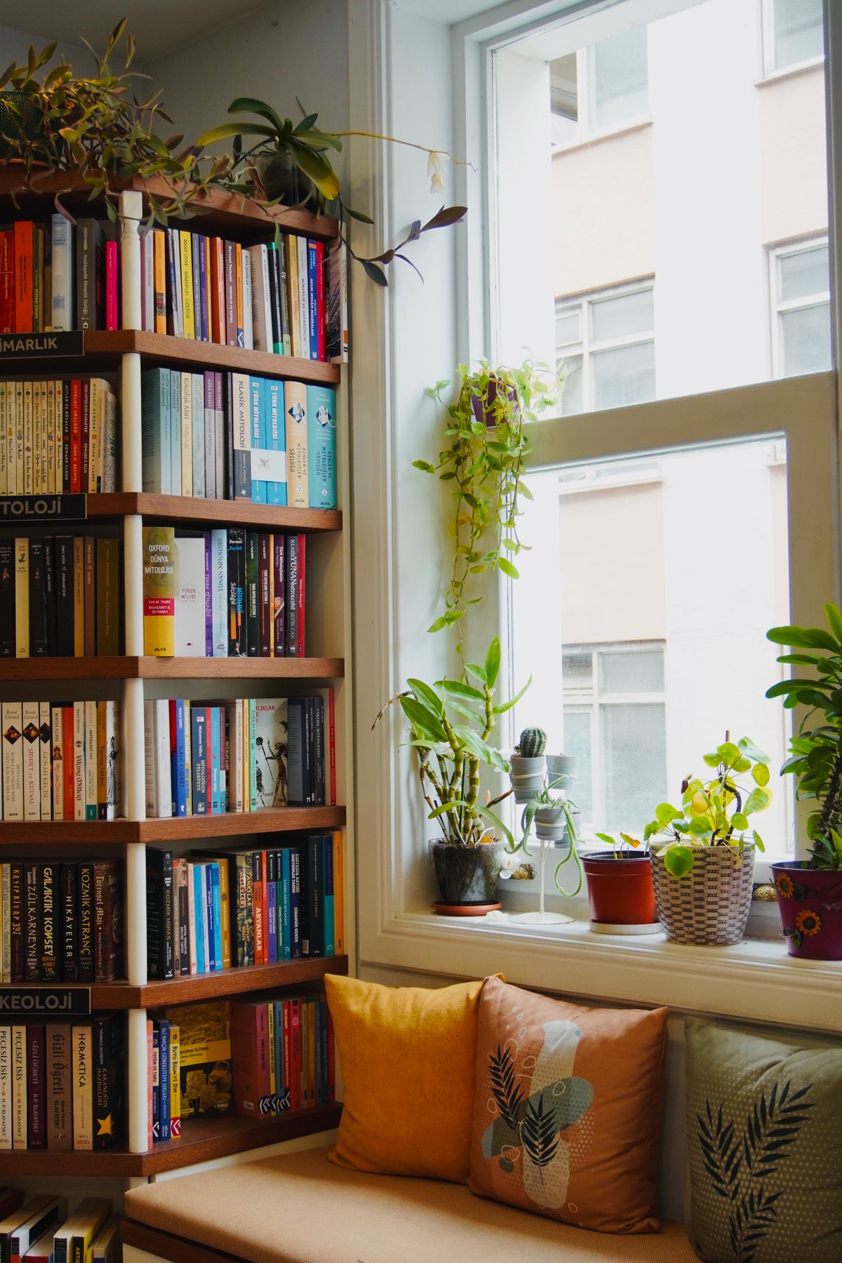 Coin lecture avec fauteuil, livres et plantes vertes
