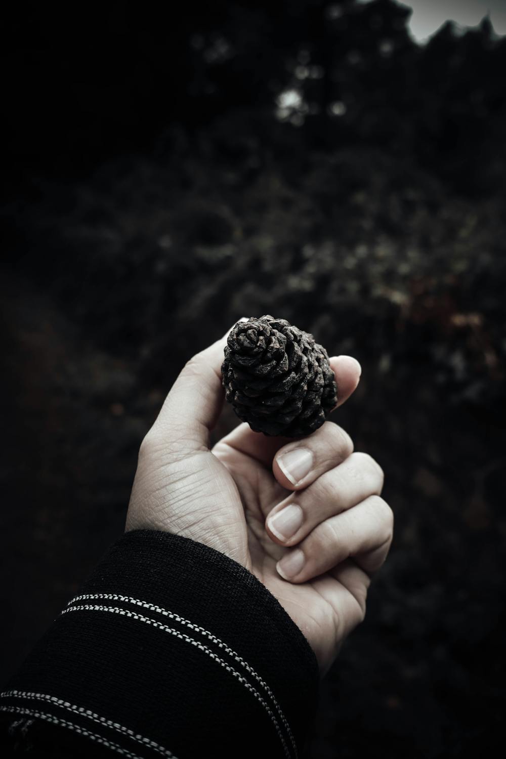 Pine Cone Brownie Bites