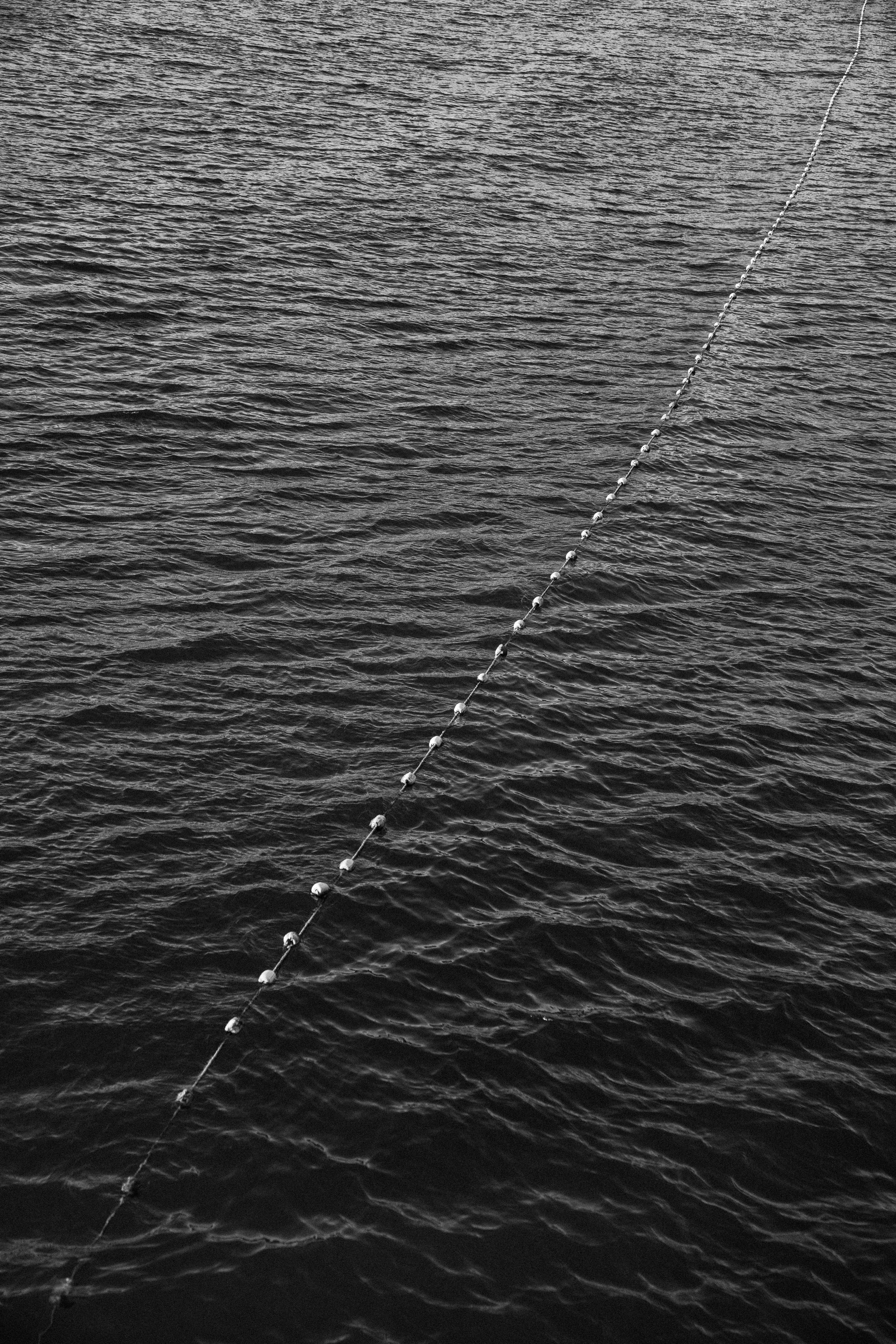grátis Imagem em preto e branco da superfície do oceano com uma linha de bóias dividindo a água. Foto profissional