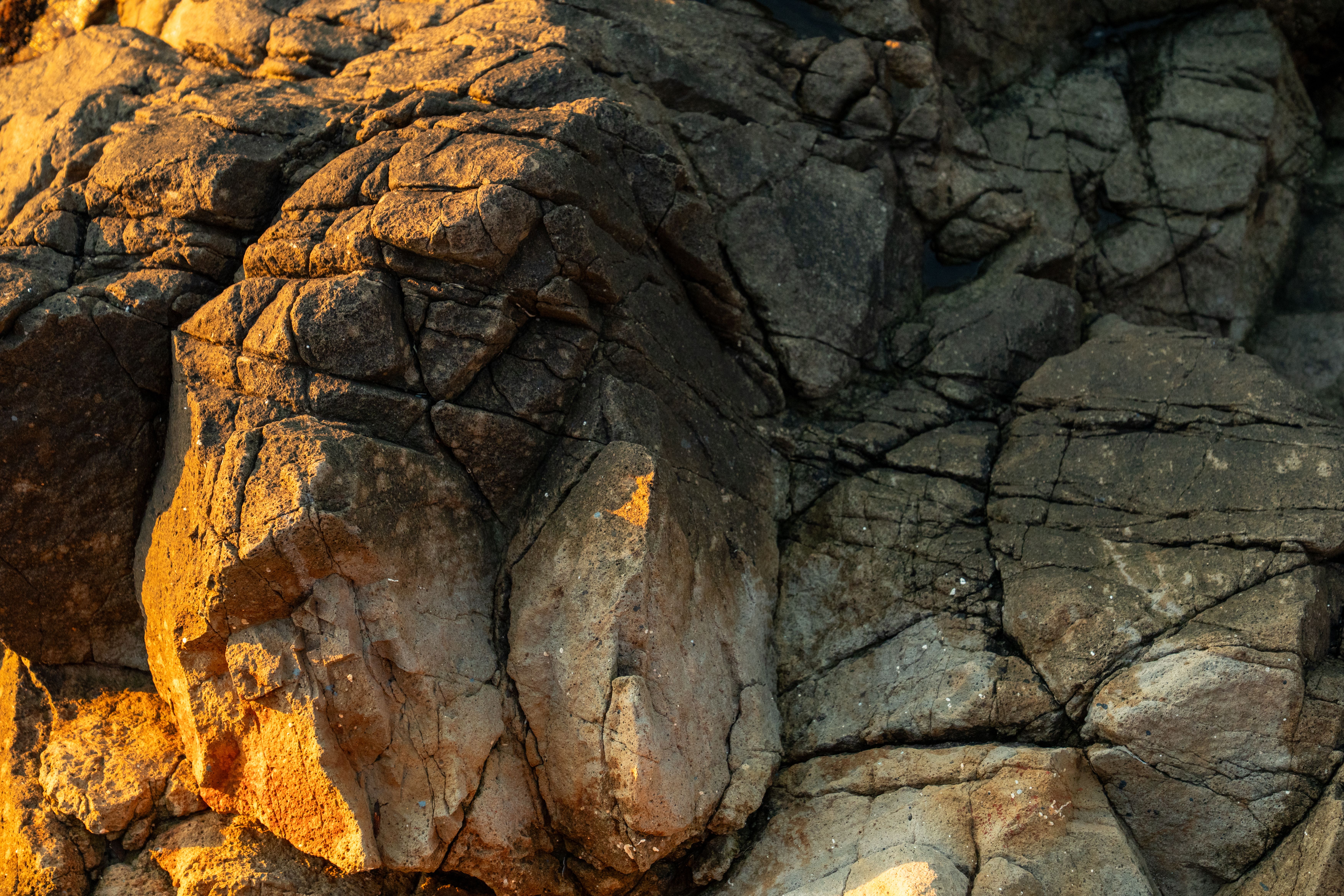 Metamorphic Rocks Hd Metamorphic Rock Photos, Download The BEST Free Metamorphic Rock Stock ...