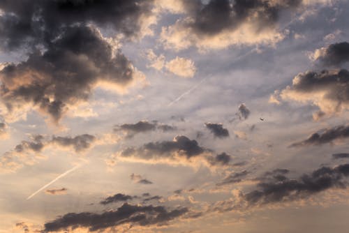 Základová fotografie zdarma na téma mraky, šupina, zataženo