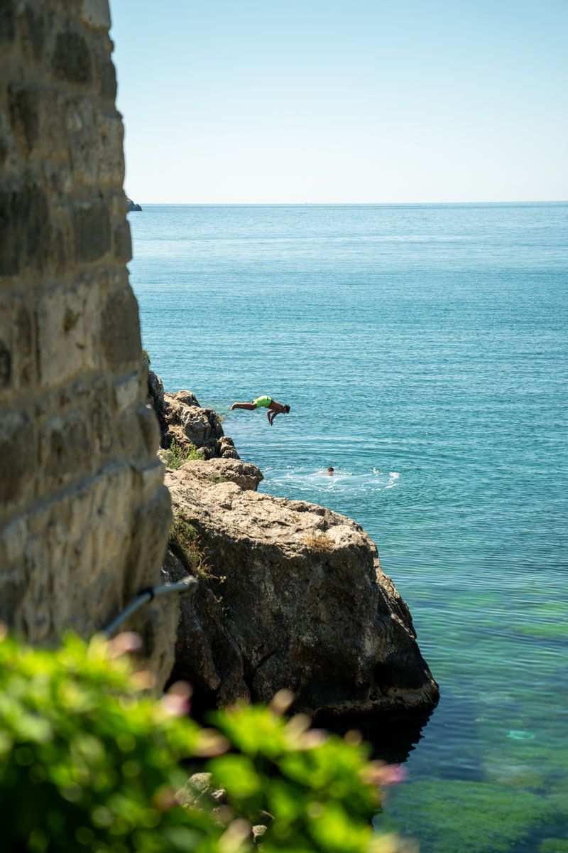 Free Fall Photos, Download The BEST Free Free Fall Stock Photos & HD Images