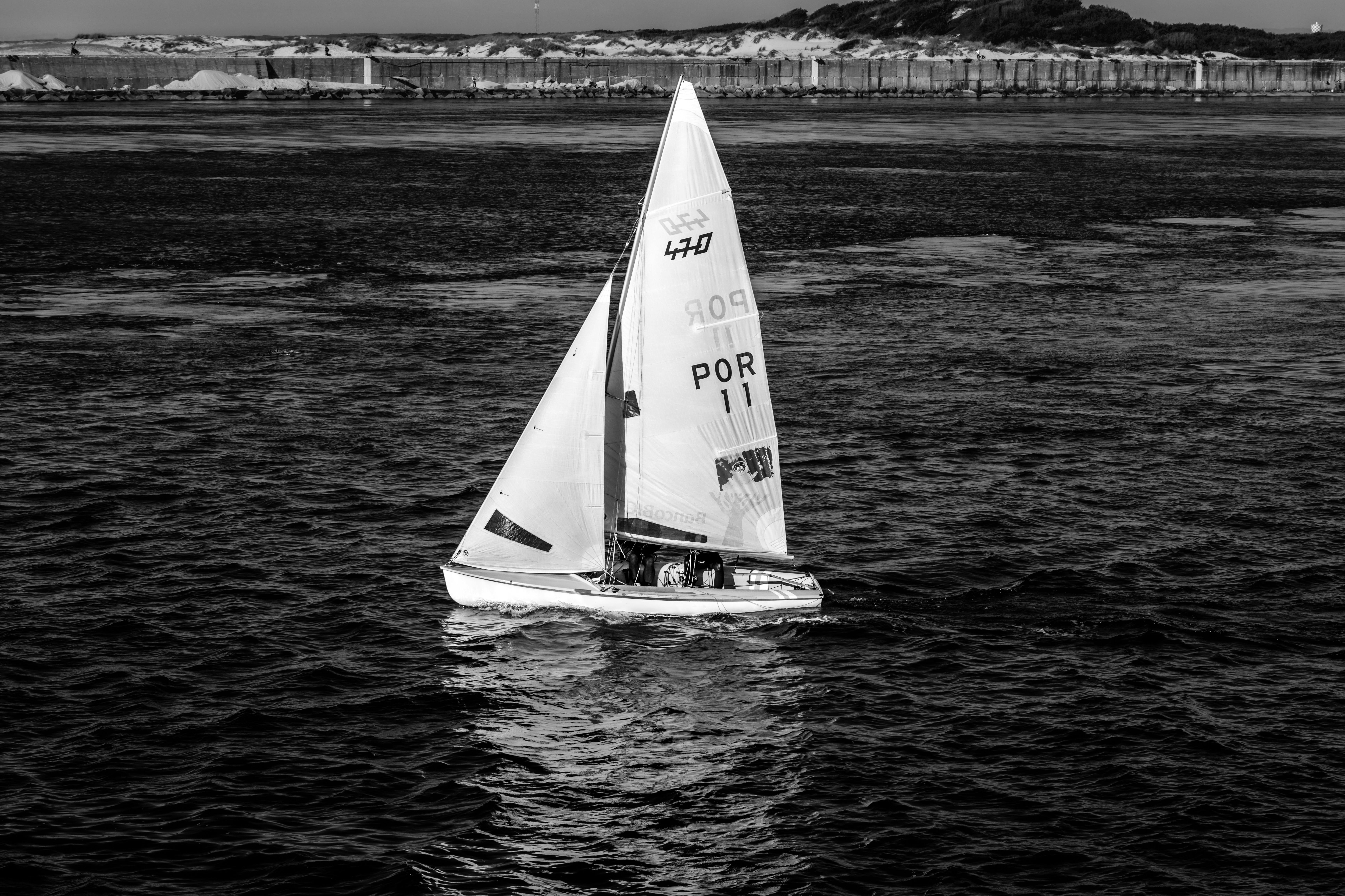 470+ Crockpot Recipes