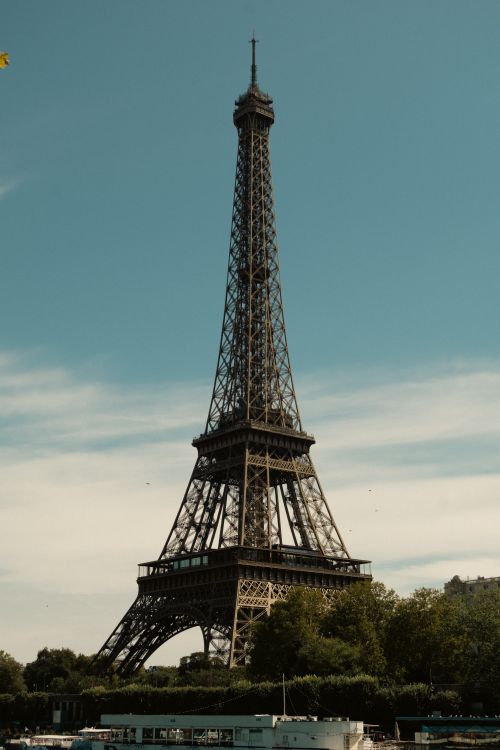 Free A classic view of the Eiffel Tower rising above trees in Paris, captured on a clear, sunny day. Stock Photo
