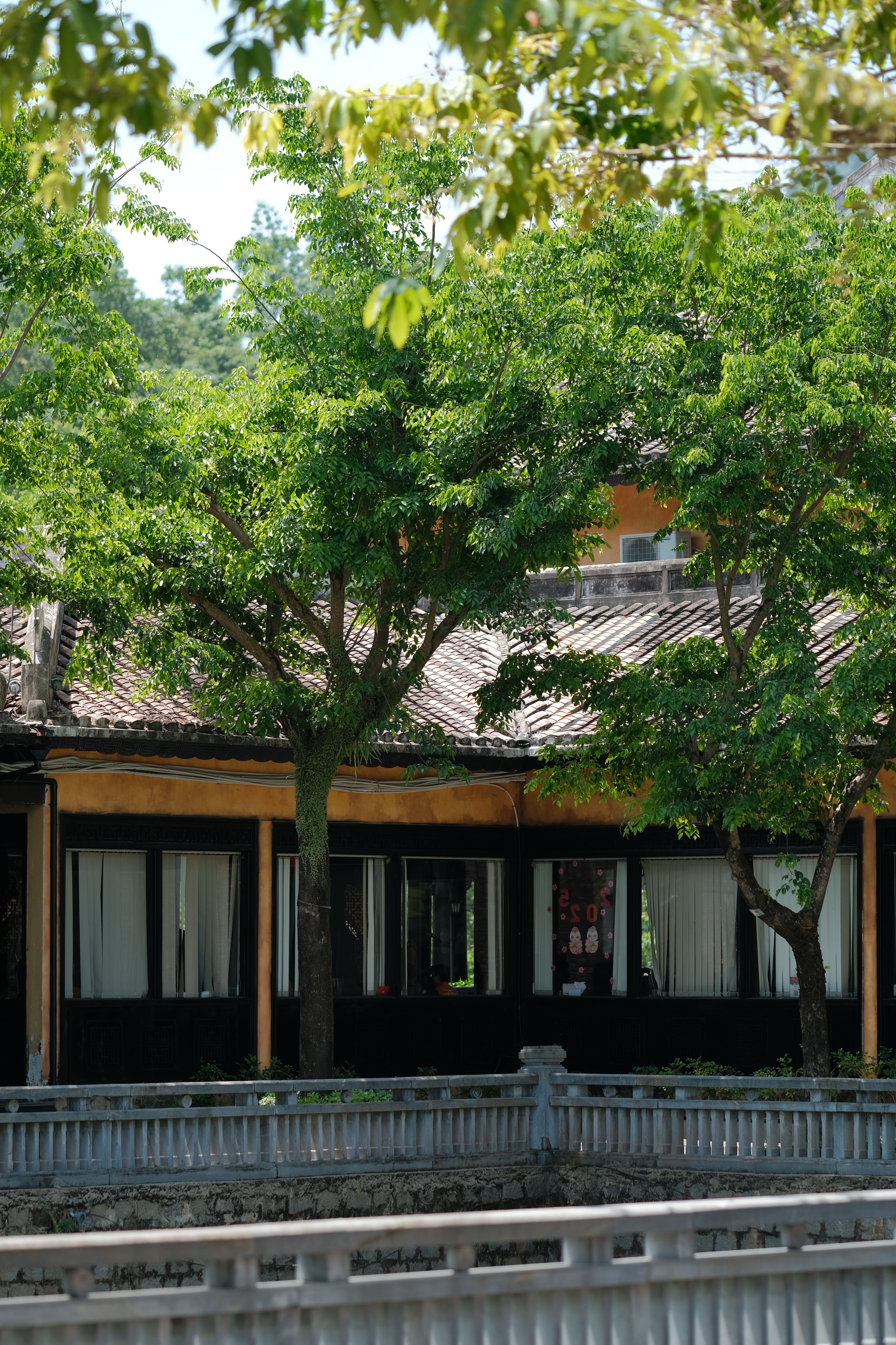 Traditional Building in Hoi An Under Green Trees · Free Stock Photo