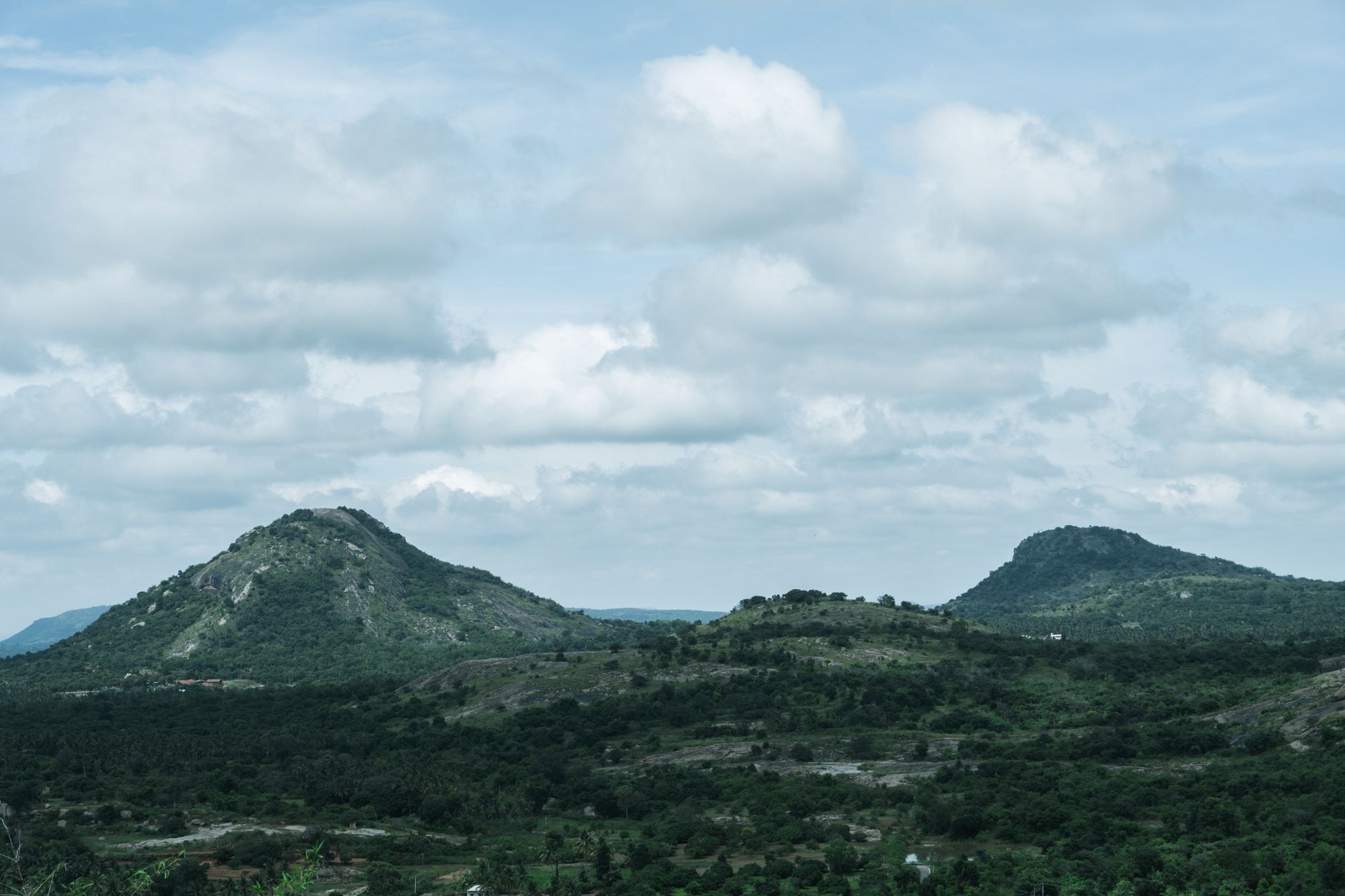 Mountain Shades in Karnataka: Forest Canopies and Cool Retreats