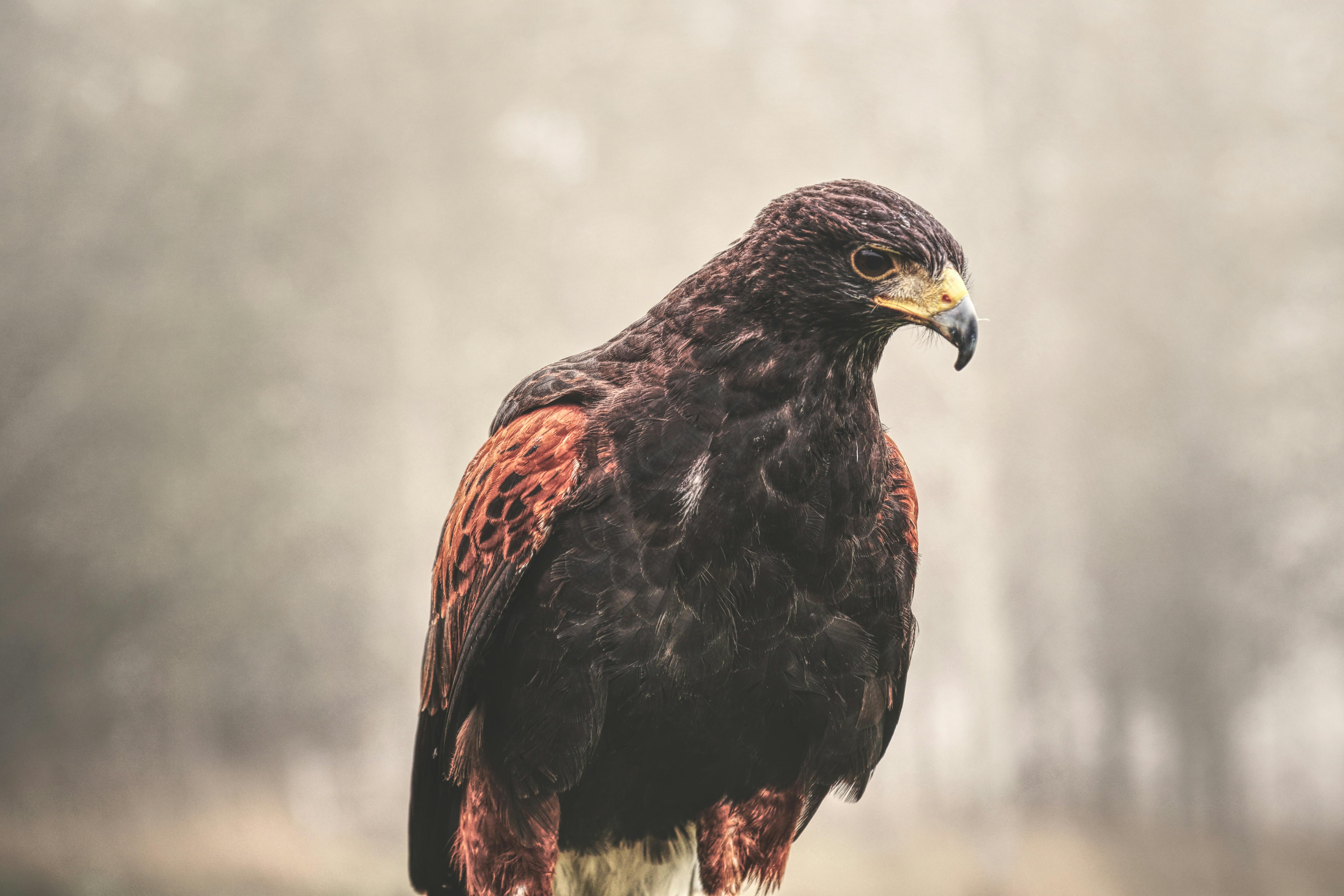 政治：謝寒冰揭露謝龍介內心最害怕的「她」是誰？