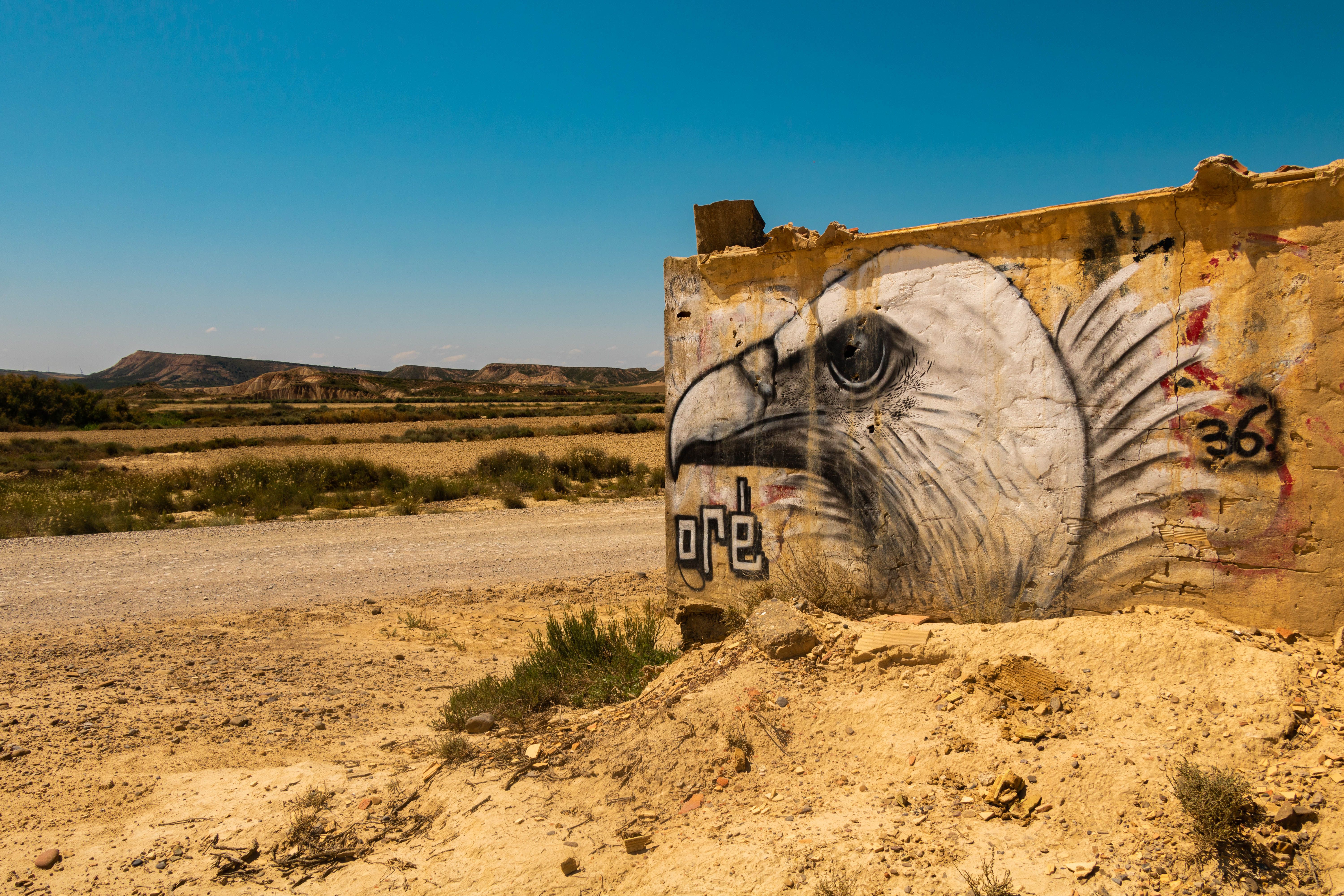 Striking eagle graffiti on an old wall in a Spanish desert landscape.