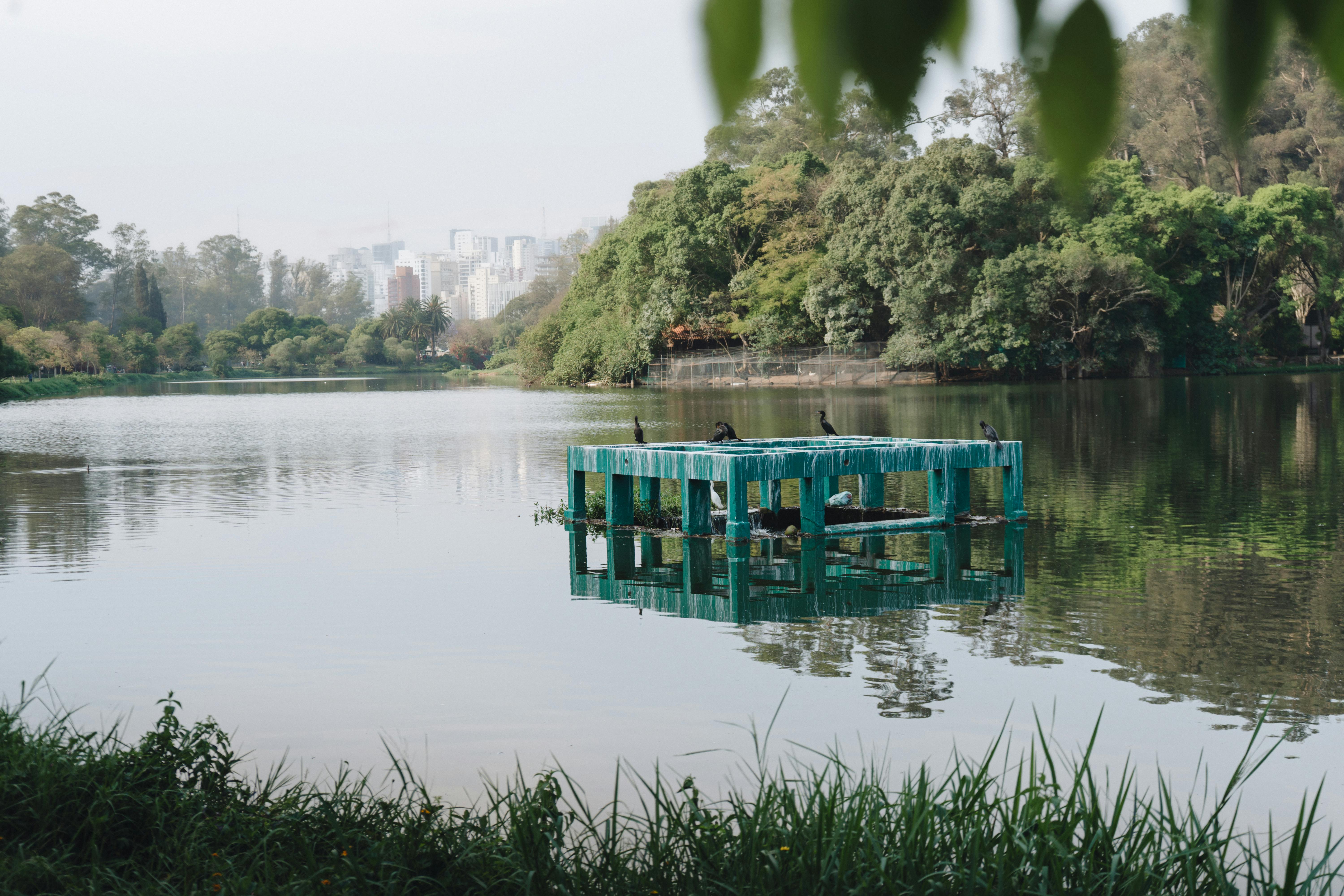 Explore the Best Volunteer Platforms for Engaging Social Activities