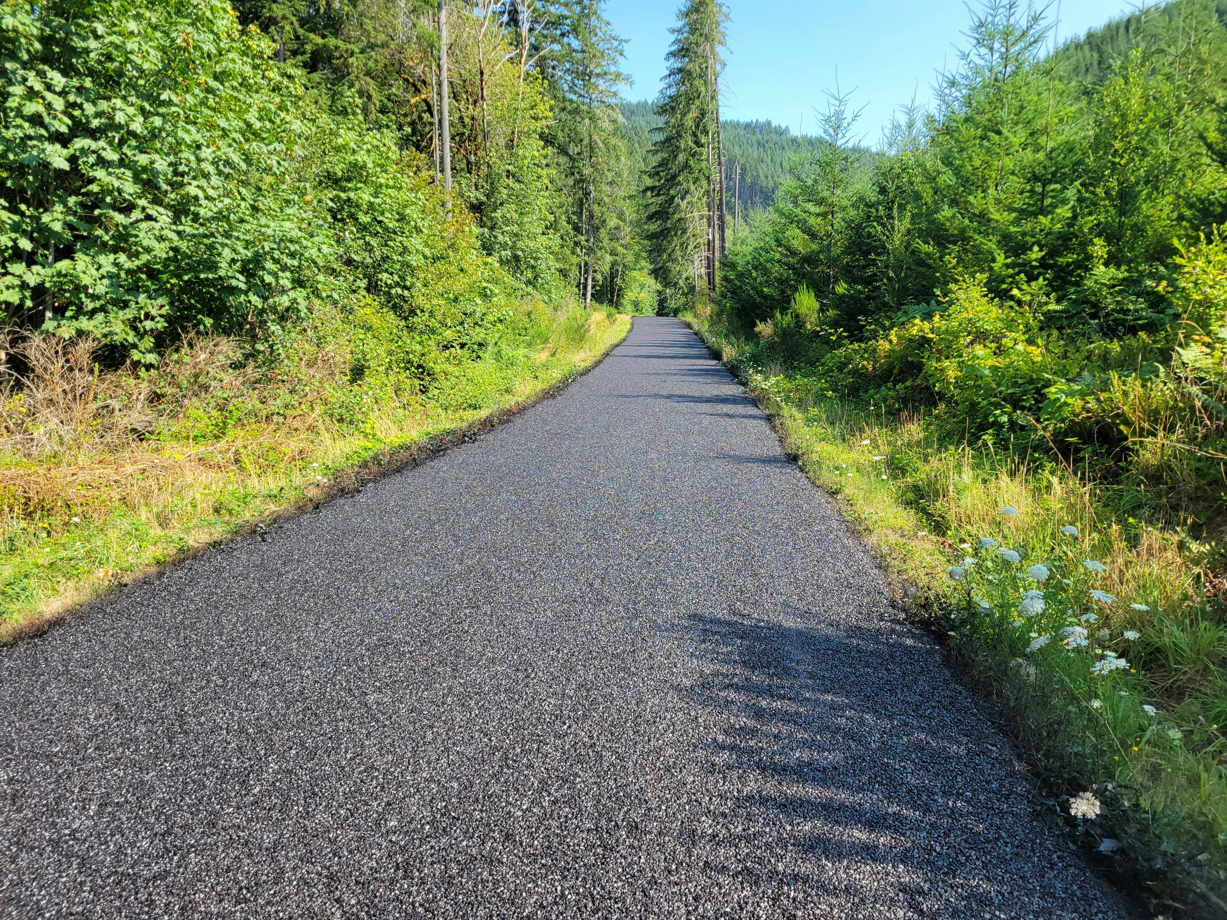 ‘The Precedent Is Flint’: How Oregon’s Data Center Boom Is Supercharging a Water Crisis — Photo by Tom  Shamberger on Pexels