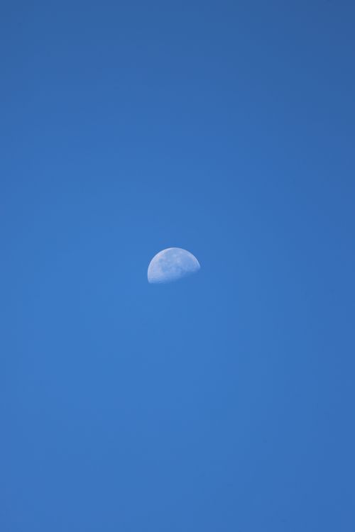 Free A crisp view of the moon in a bright blue daytime sky, serene and minimalistic. Stock Photo