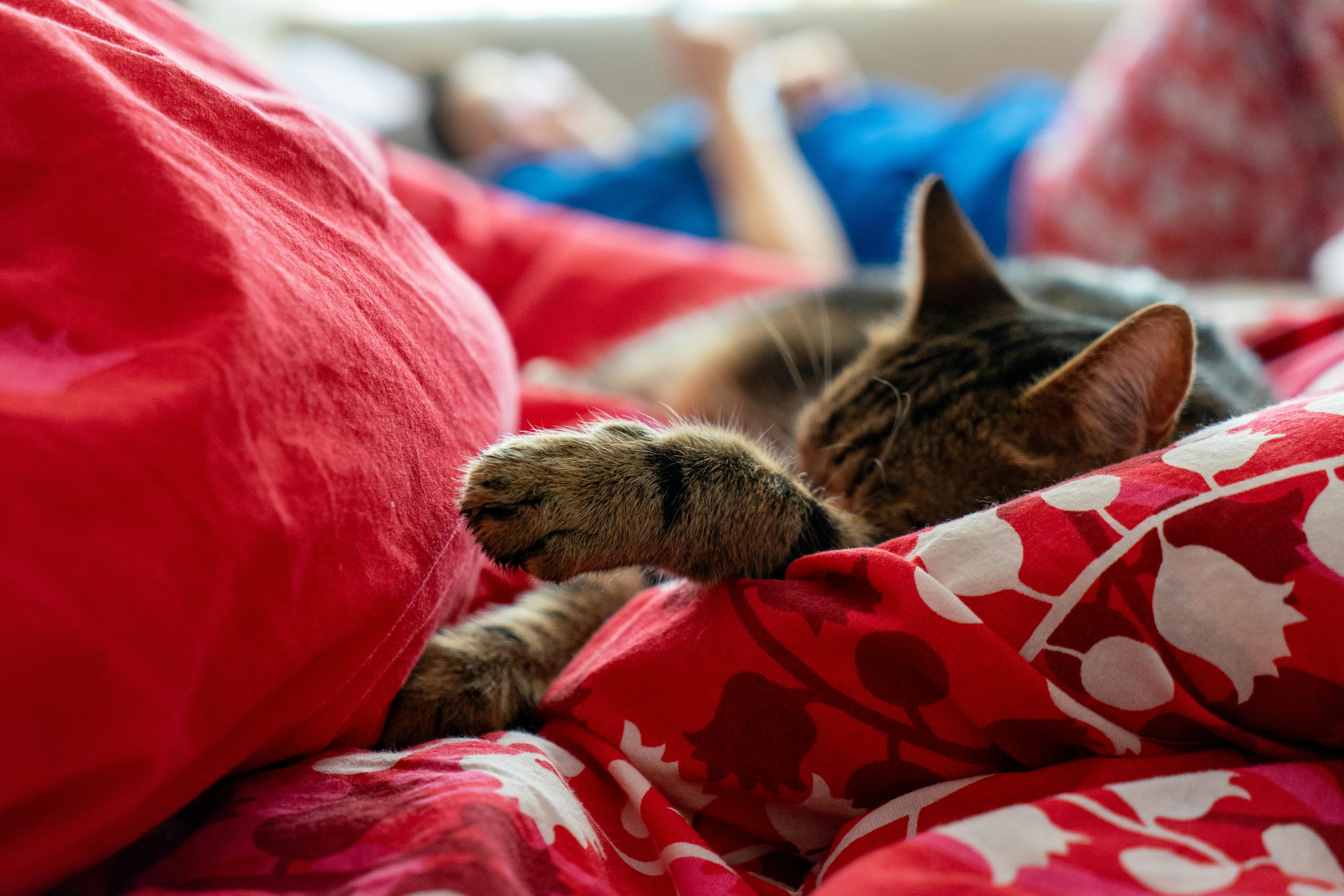 一方生活亮相台北金融博覽會 推動普惠金融進入每個家庭