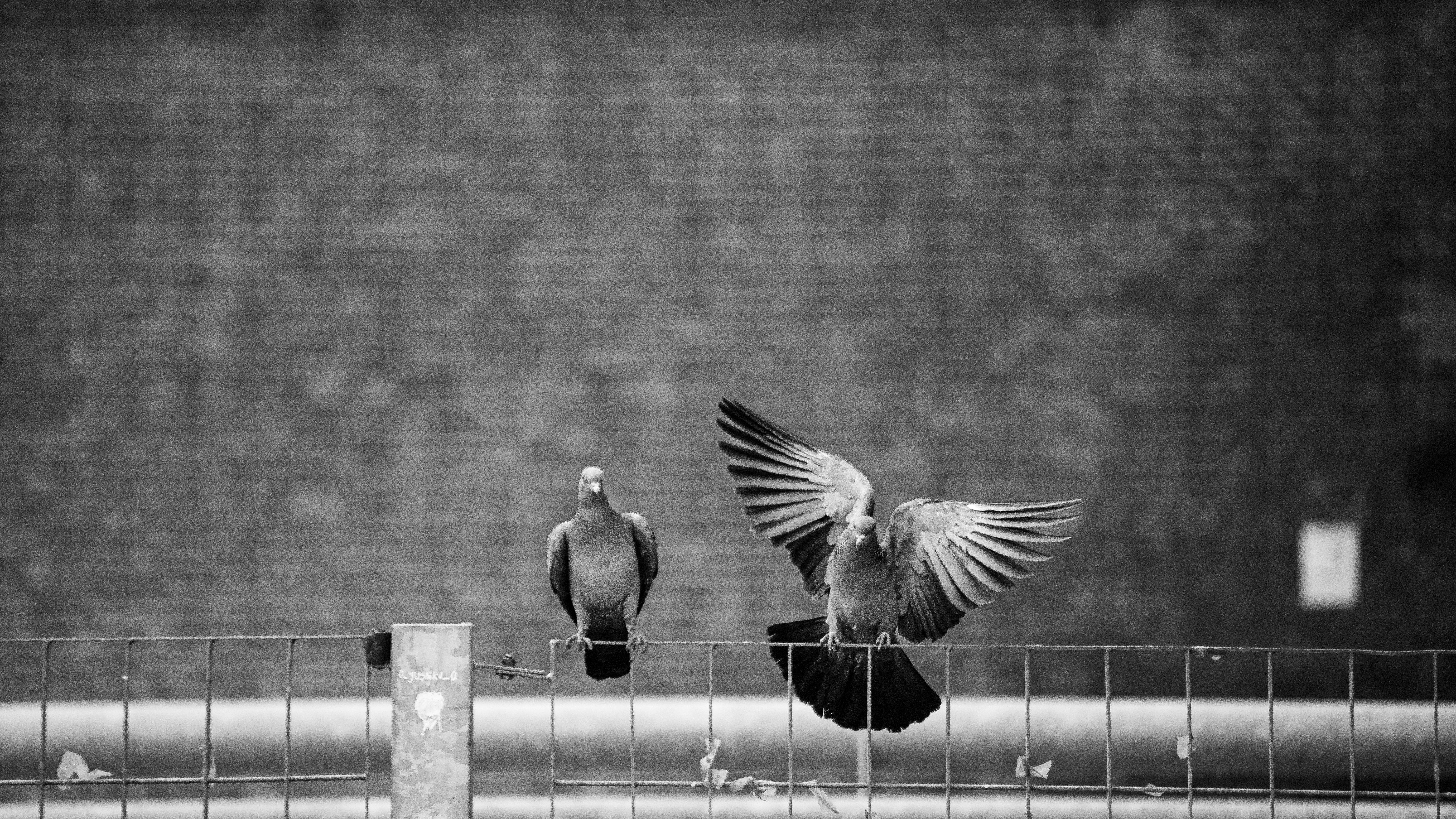 財經：美中貿易緊張緩和助推歐股小幅上漲