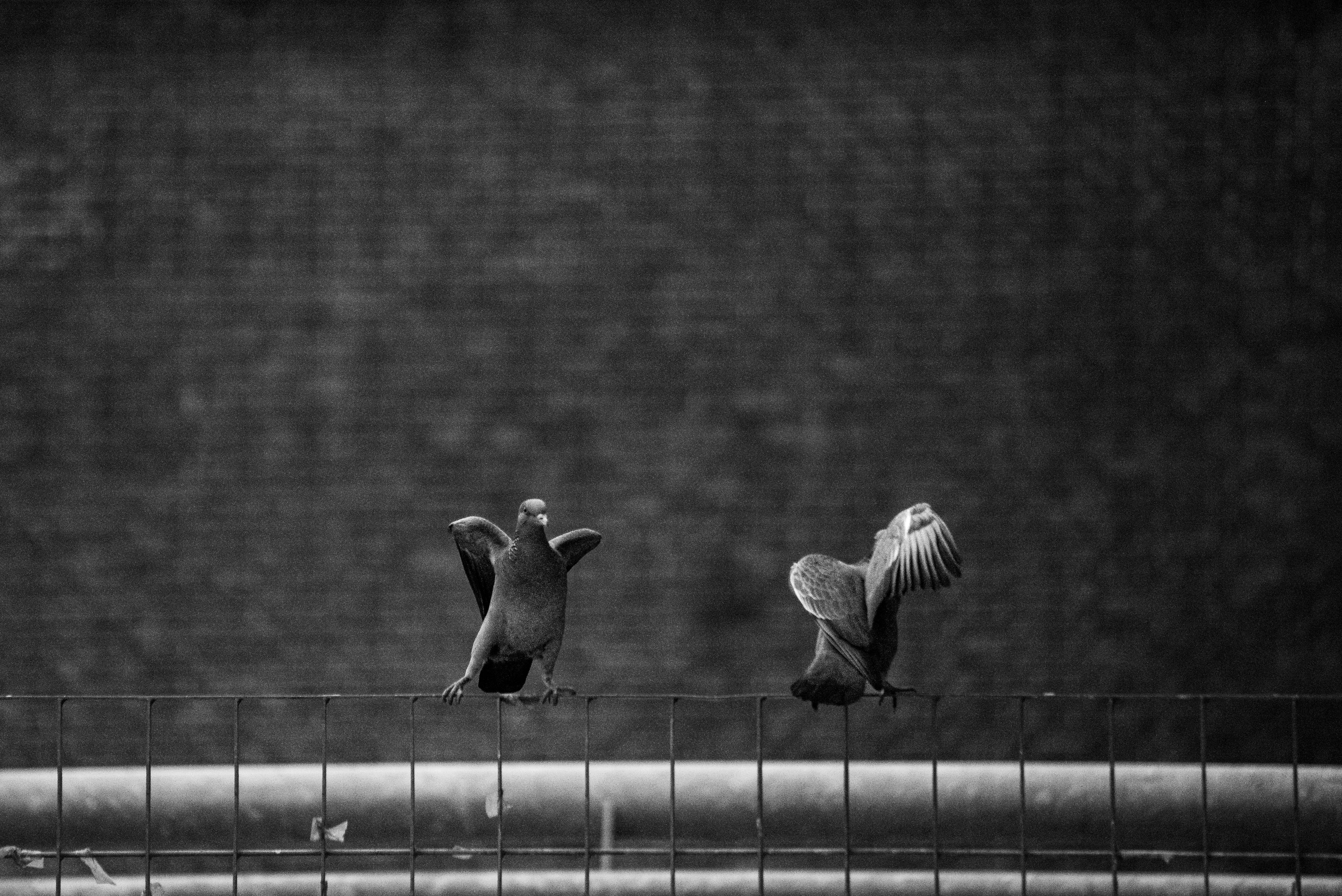 財經：美中貿易緊張緩和助推歐股小幅上漲