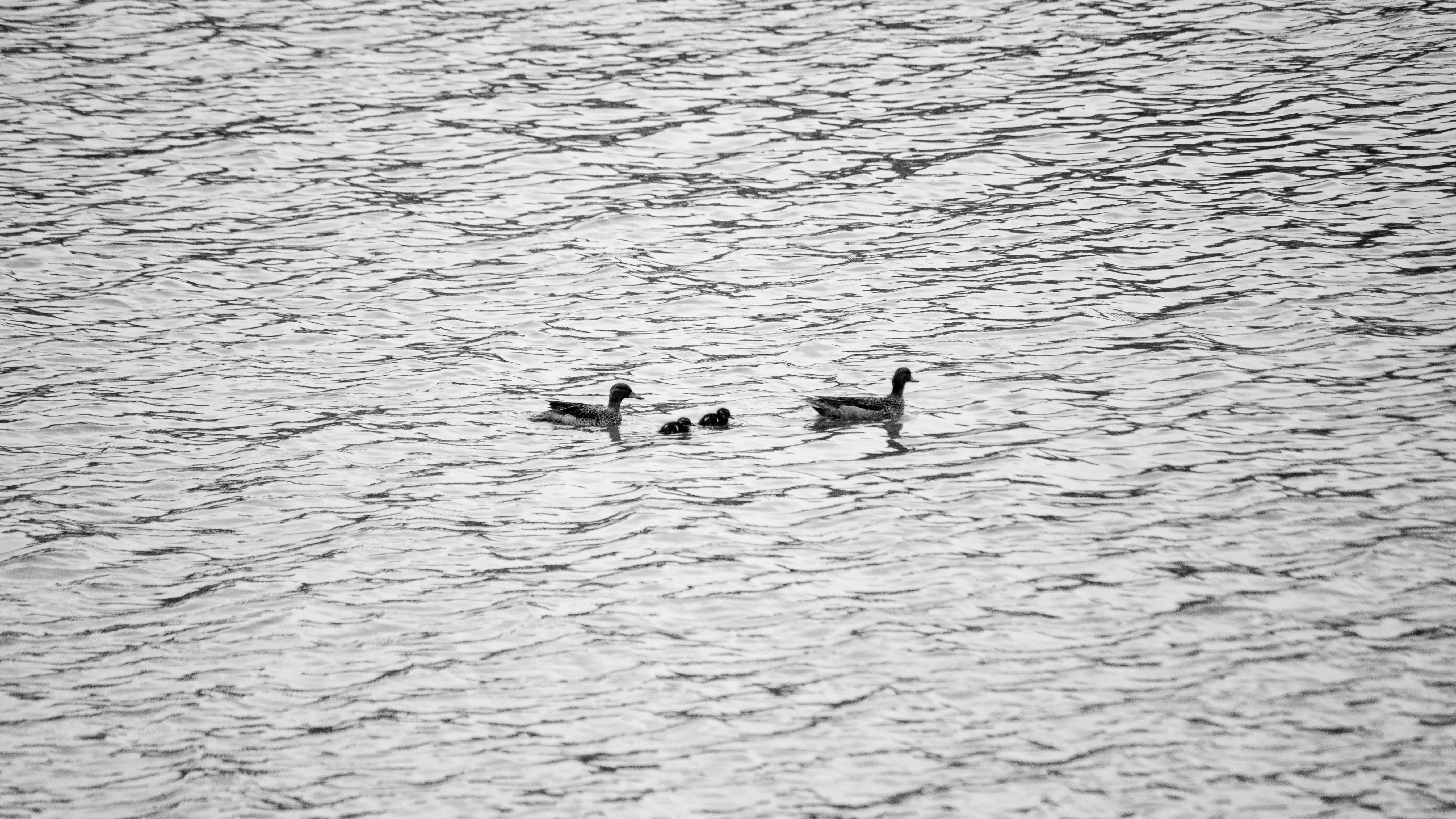 財經：美中貿易緊張緩和助推歐股小幅上漲