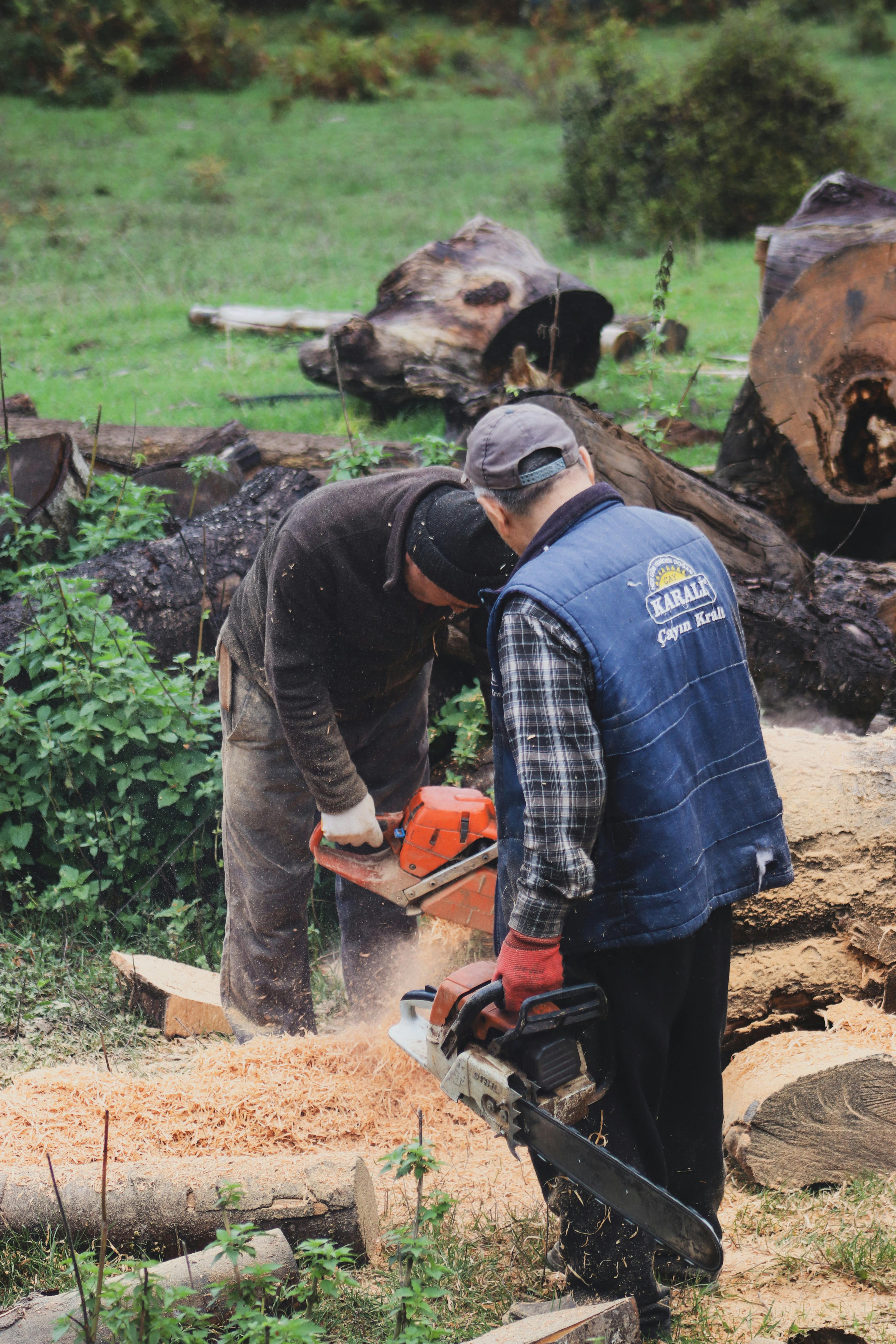 Two men working with chainsaws to cut logs in an outdoor forest setting.