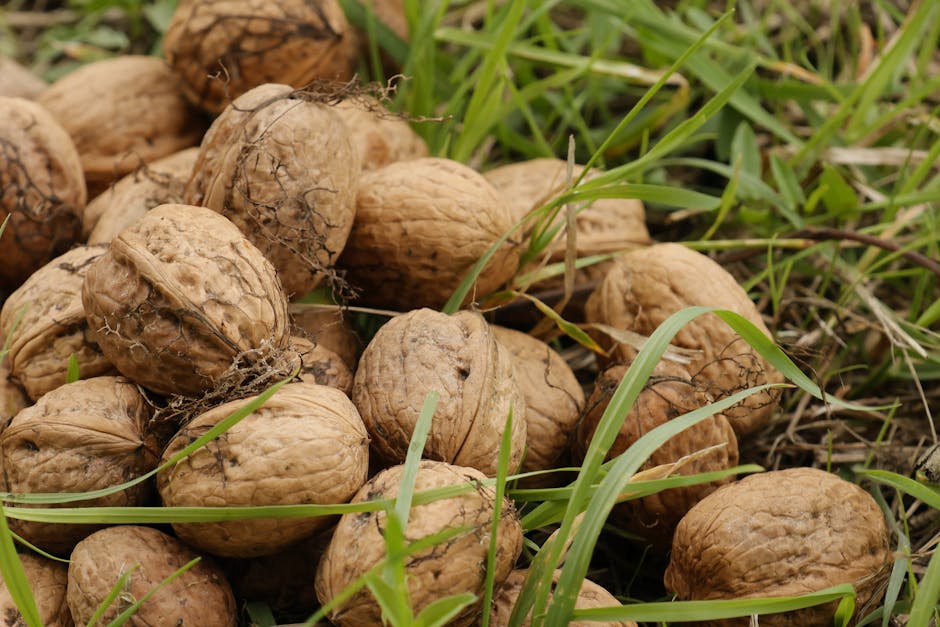 VÜCUDUNUZUN İHTİYAÇ DUYDUĞU TEMEL MİNERALLER VE GÖREVLERİ