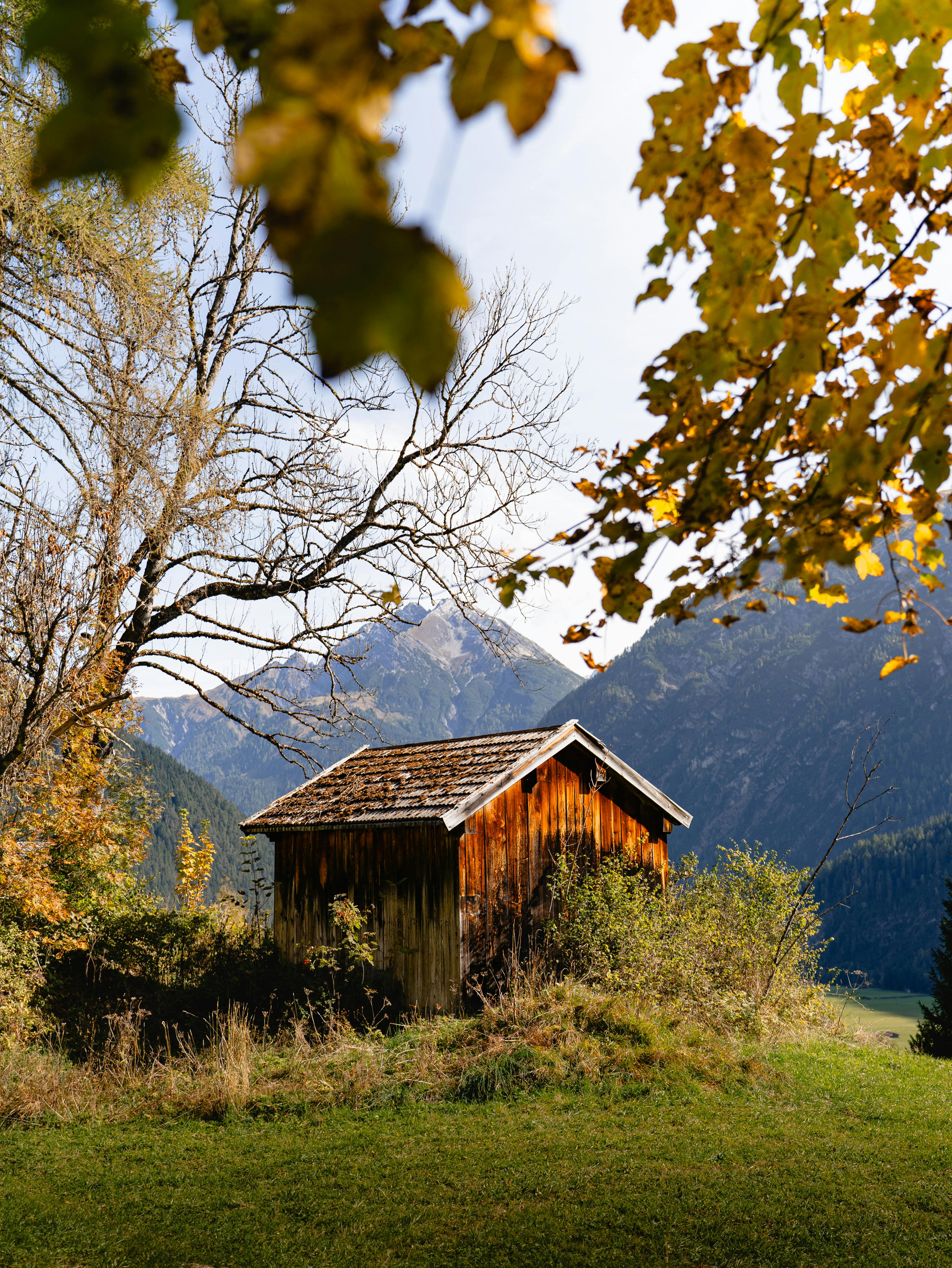 Rustic wooden hut surrounded by fall foliage in Holzgau, Austria.