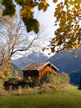 Rustic wooden hut surrounded by fall foliage in Holzgau, Austria.