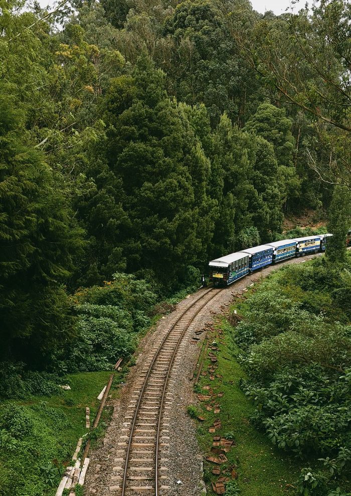 Picturesque Nilgiri Mountain Railway train winding through Ooty's lush greenery