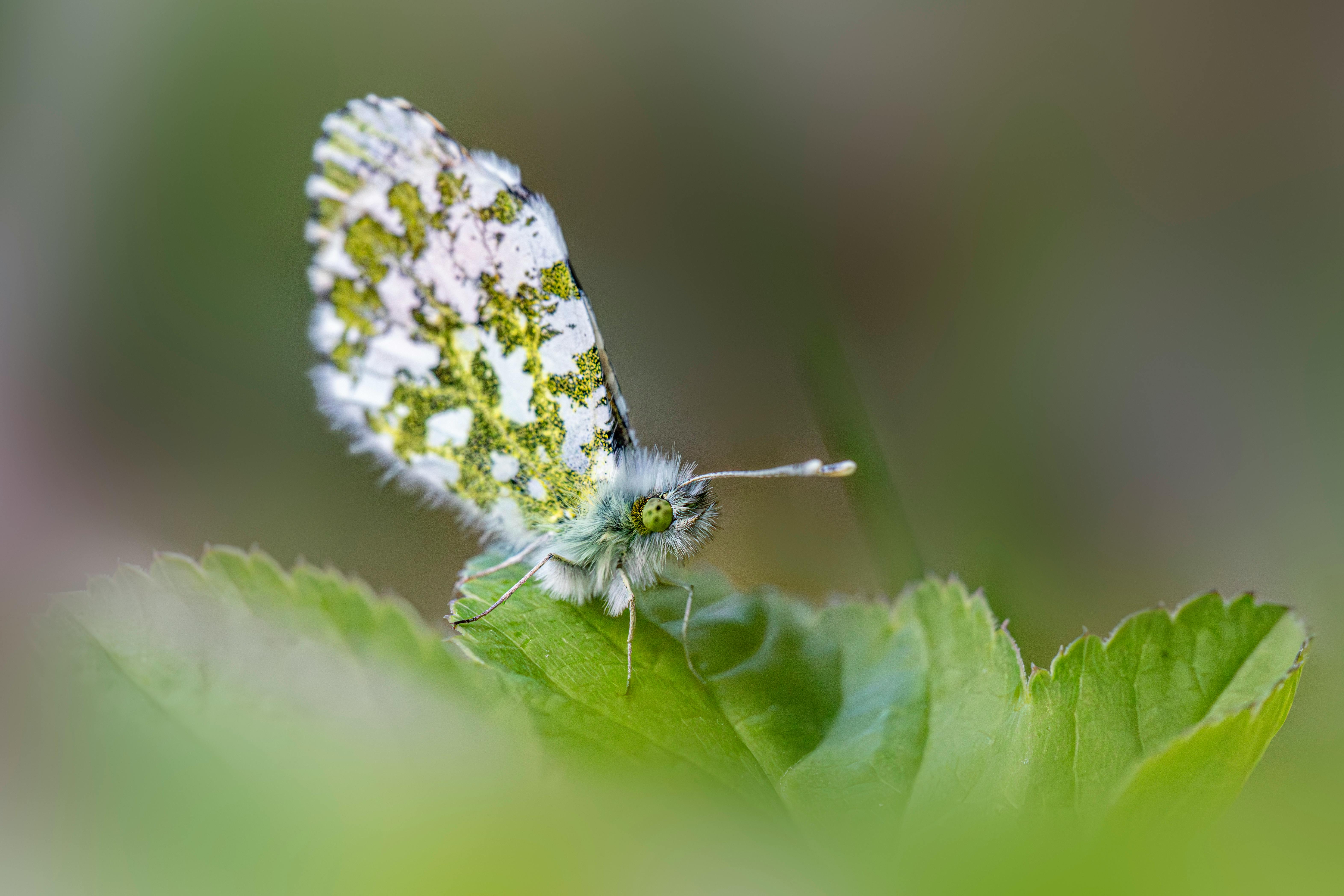 Obscure Movie Trivia That Will Change How You Watch Films