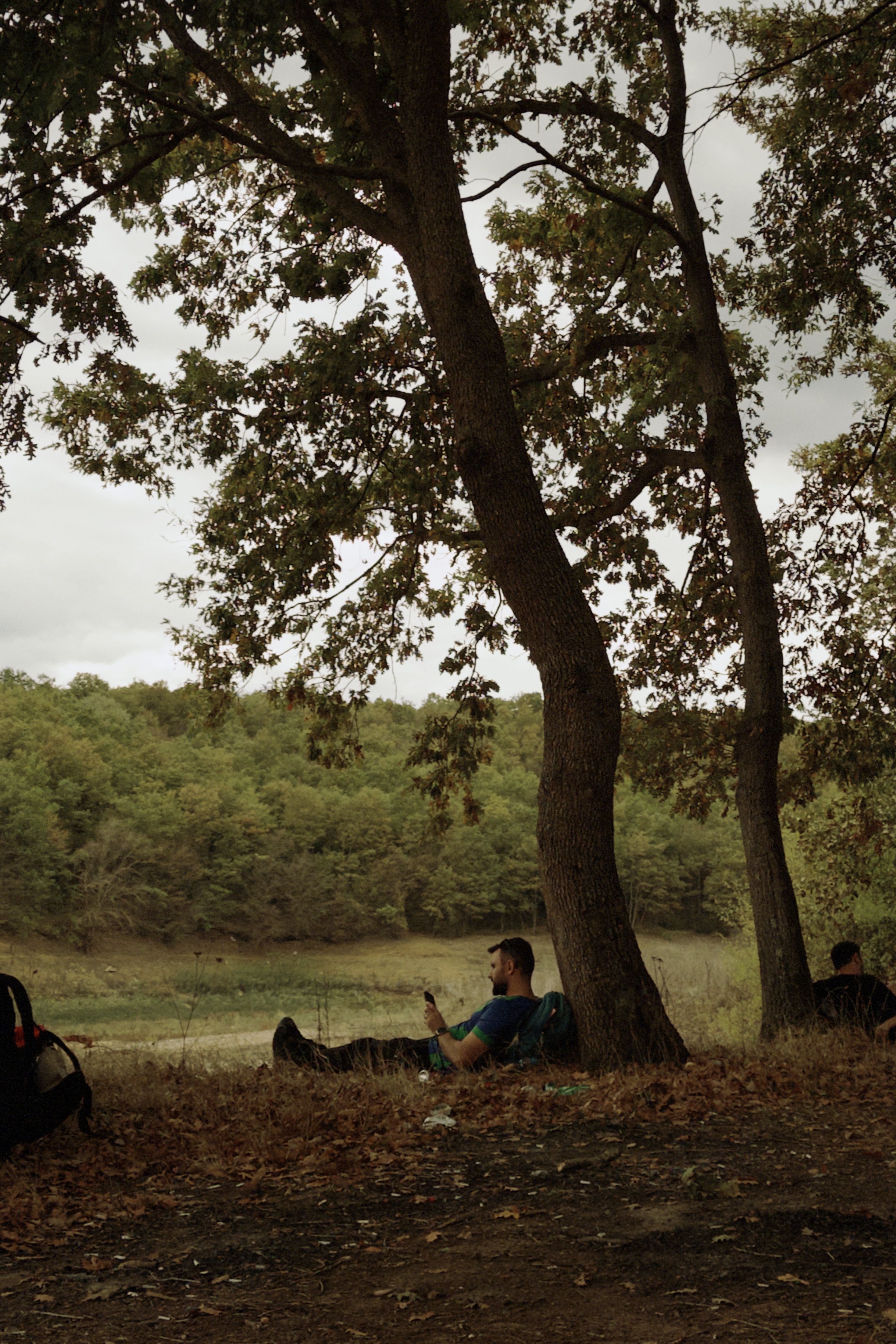Man Relaxing Under Tree by Forest Lake · Free Stock Photo