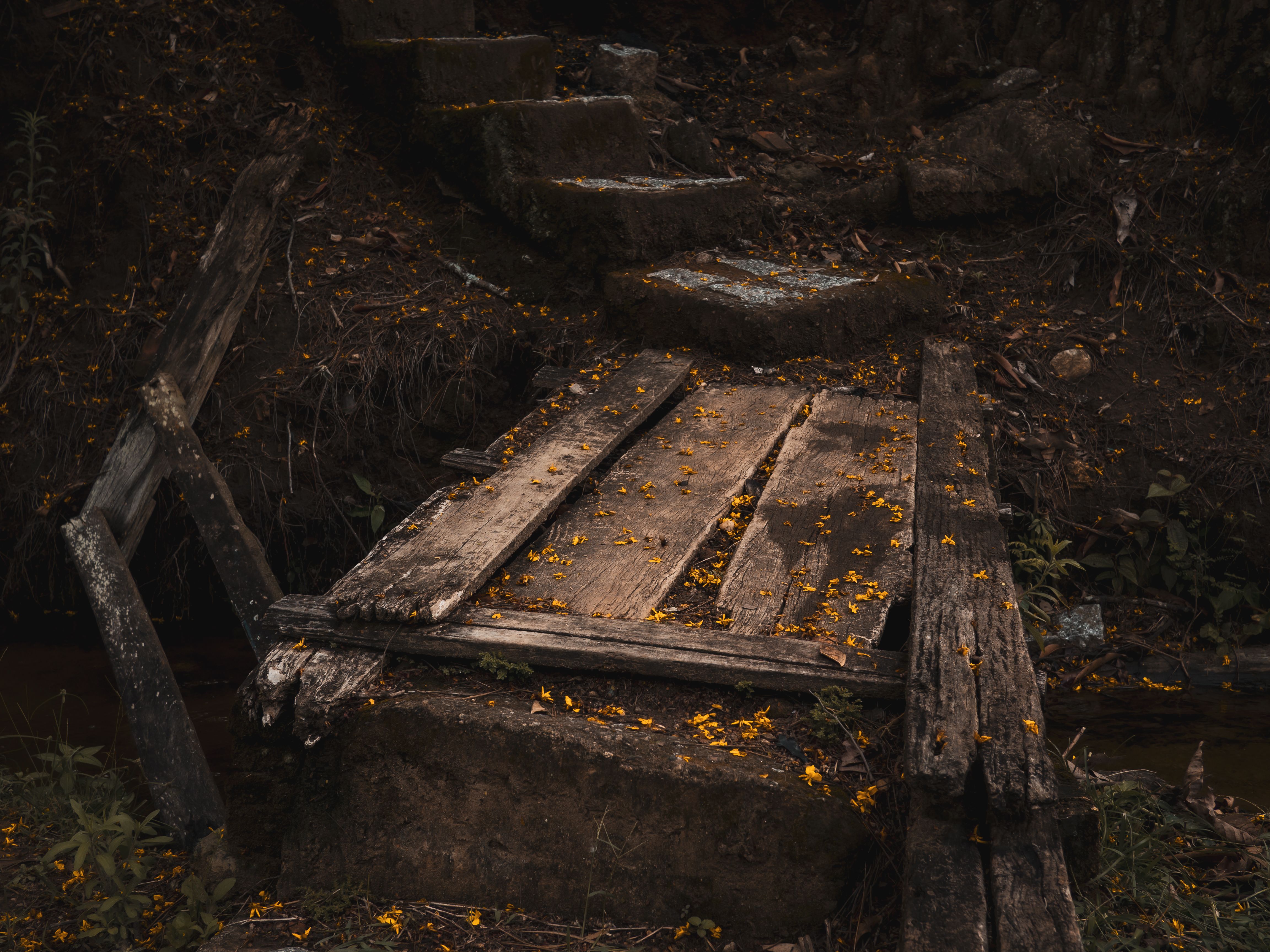 Rustic Wooden Bridge with Autumn Leaves · Free Stock Photo