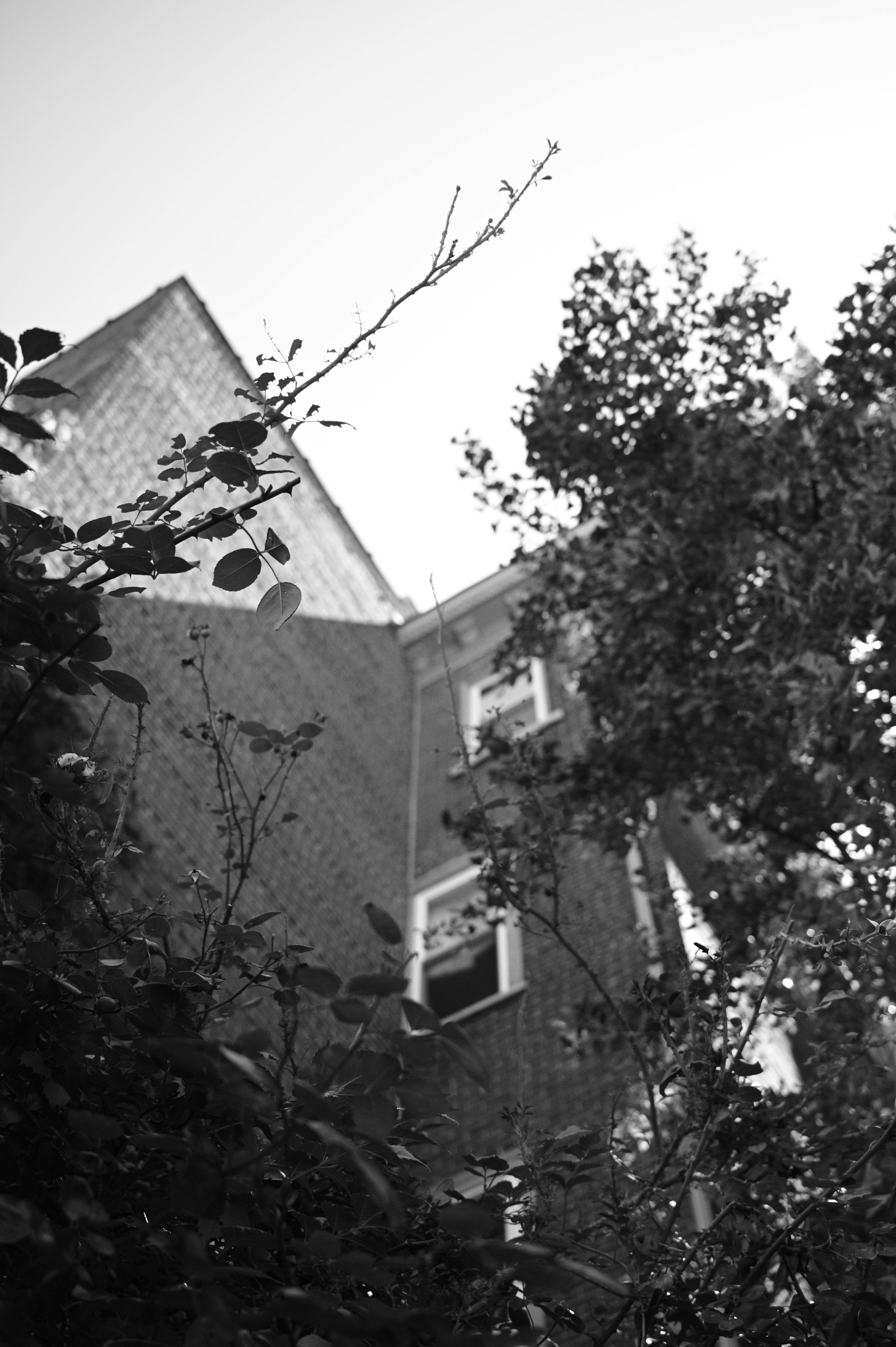 gratis Zwart-witfoto van een bakstenen gebouw dat gedeeltelijk door bomen wordt verborgen. Stockfoto