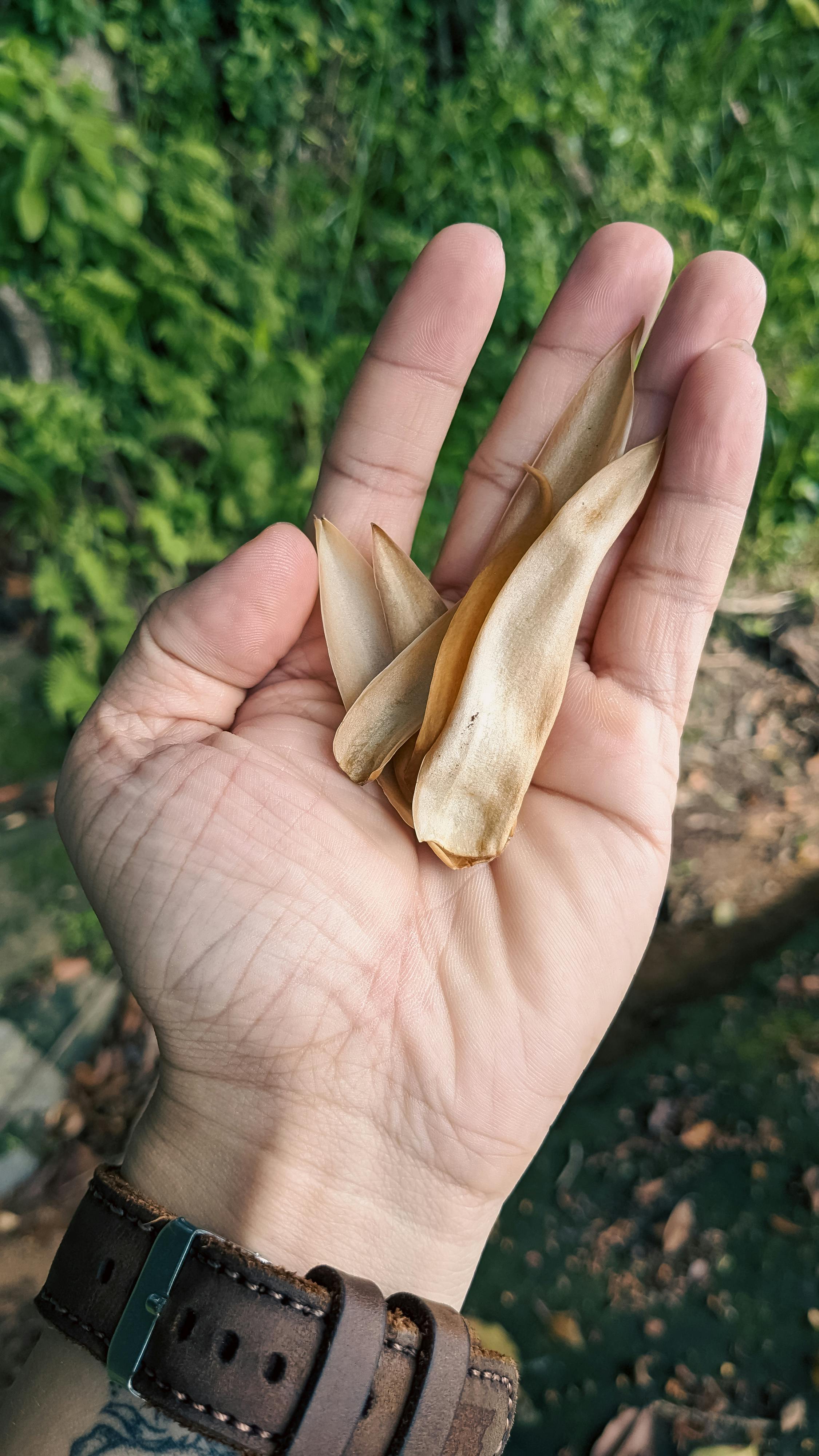 Thám tử lừng danh Conan | Chương 0913 752 – manga, gosho aoyama, case closed, tham tu lung danh conan, conan, detective conan, truyen tranh, trinh tham, pha an, trinh tham, kinh di, truyen conan, doc truyen conan, tham tu lung danh conan chuong 0913, tham tu lung danh conan 0913.