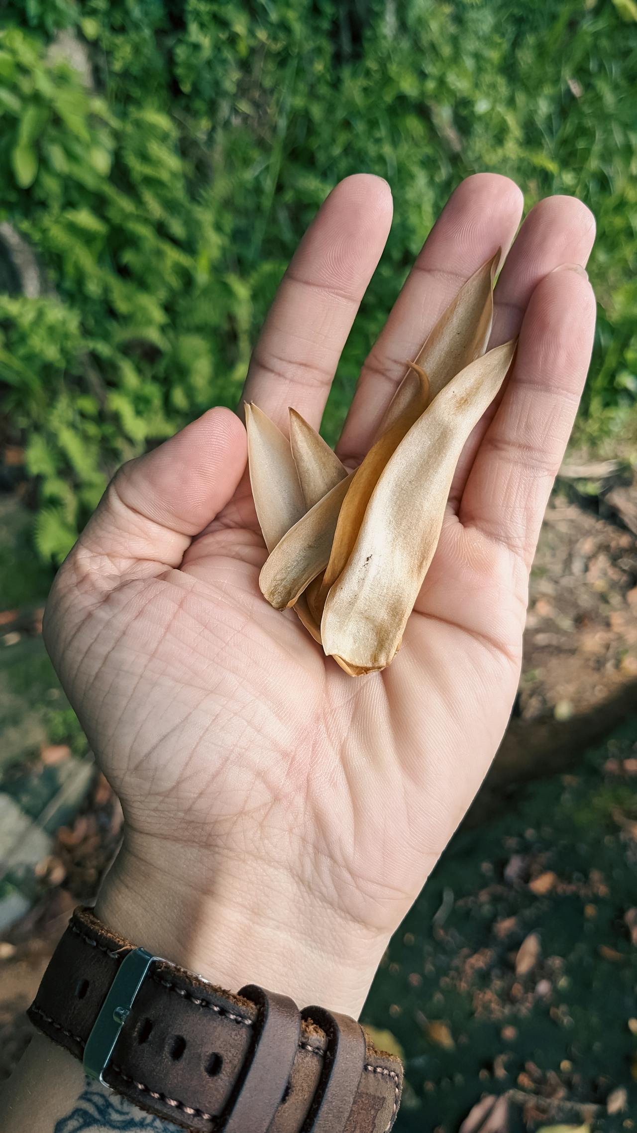 Khúc Hạnh Tuyền, núi sông