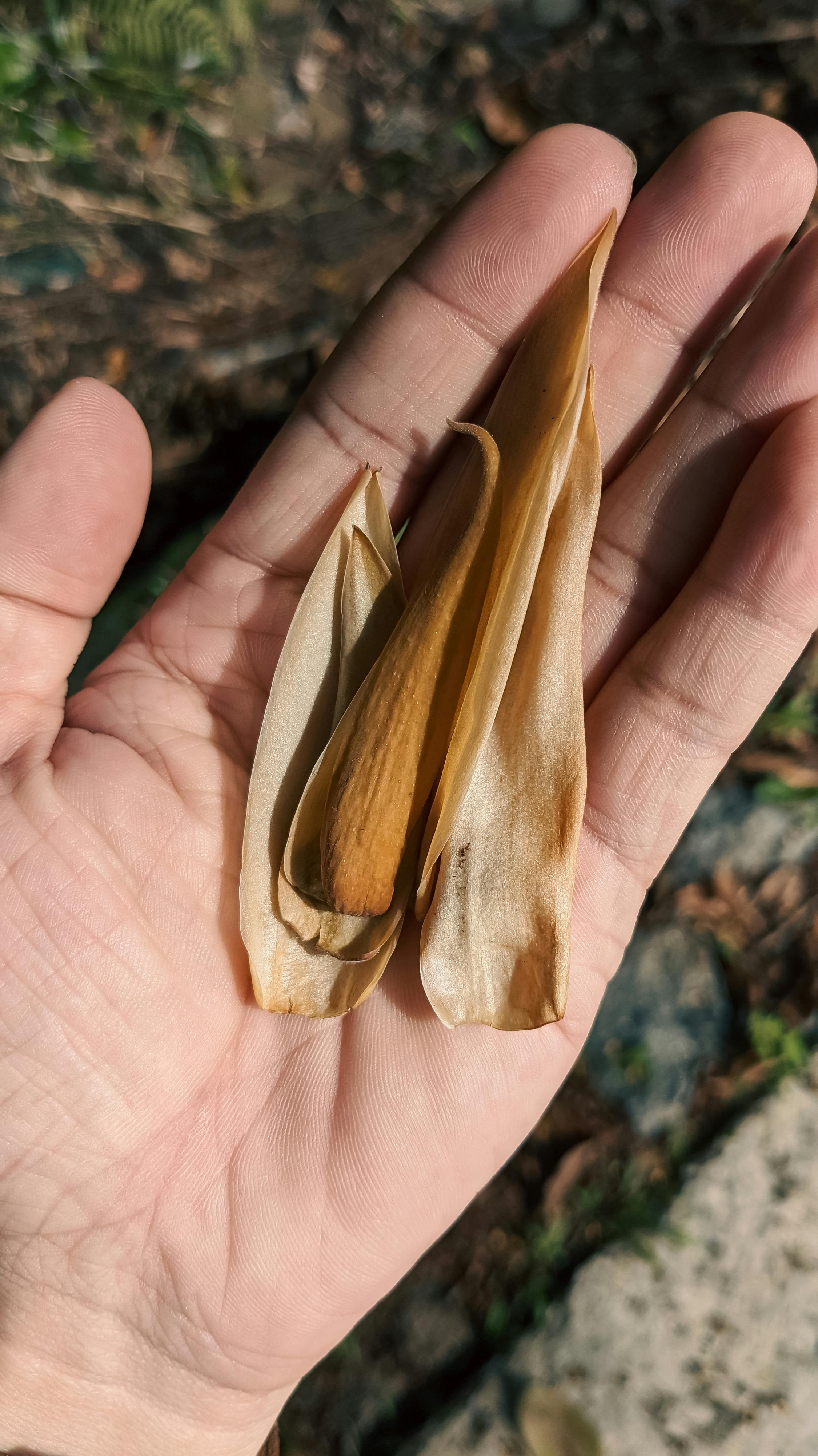 Danh sách theo thẻ van-hoc, trang 3