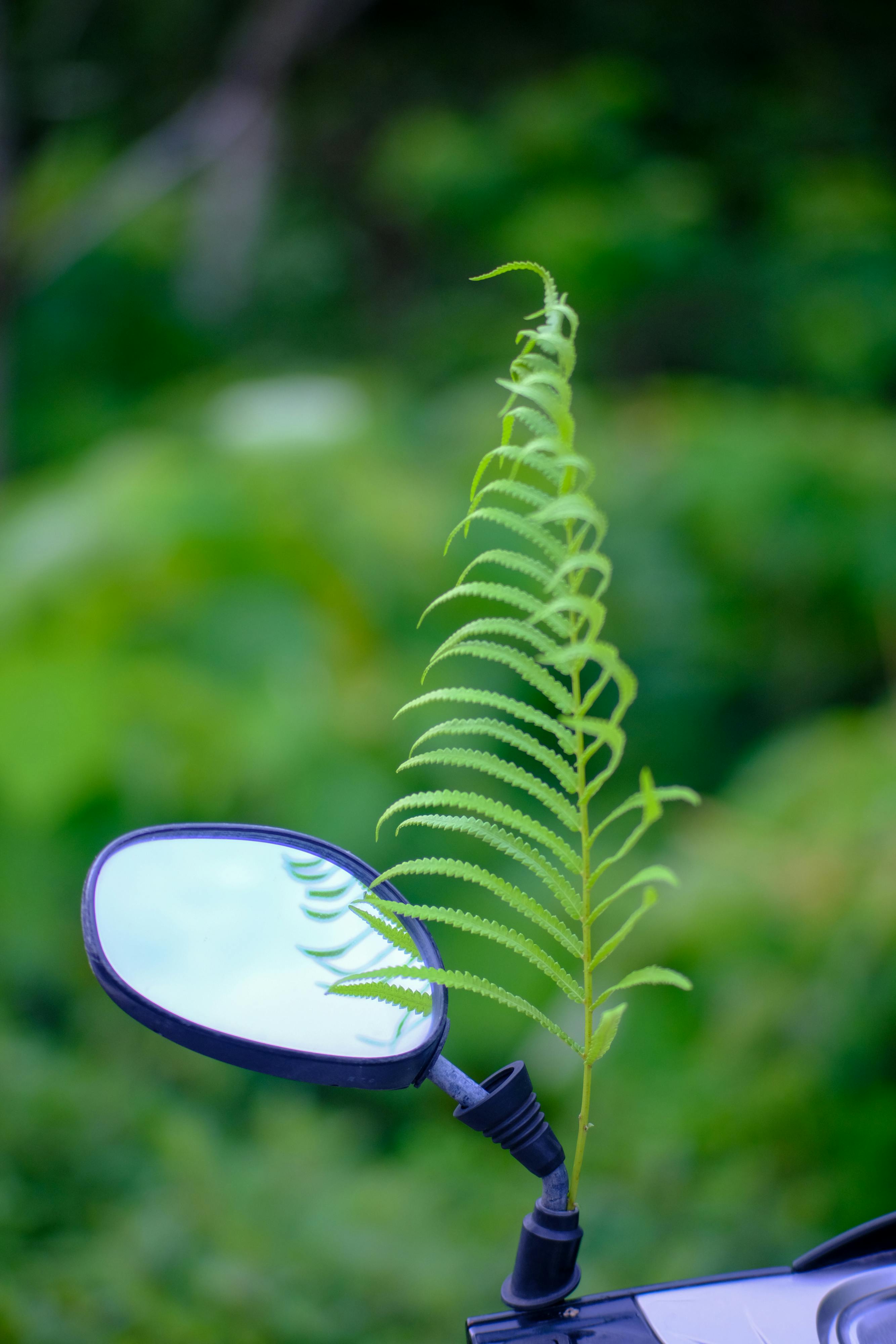 Trung tâm nghiên cứu văn học, phát triển nhà văn Việt Nam