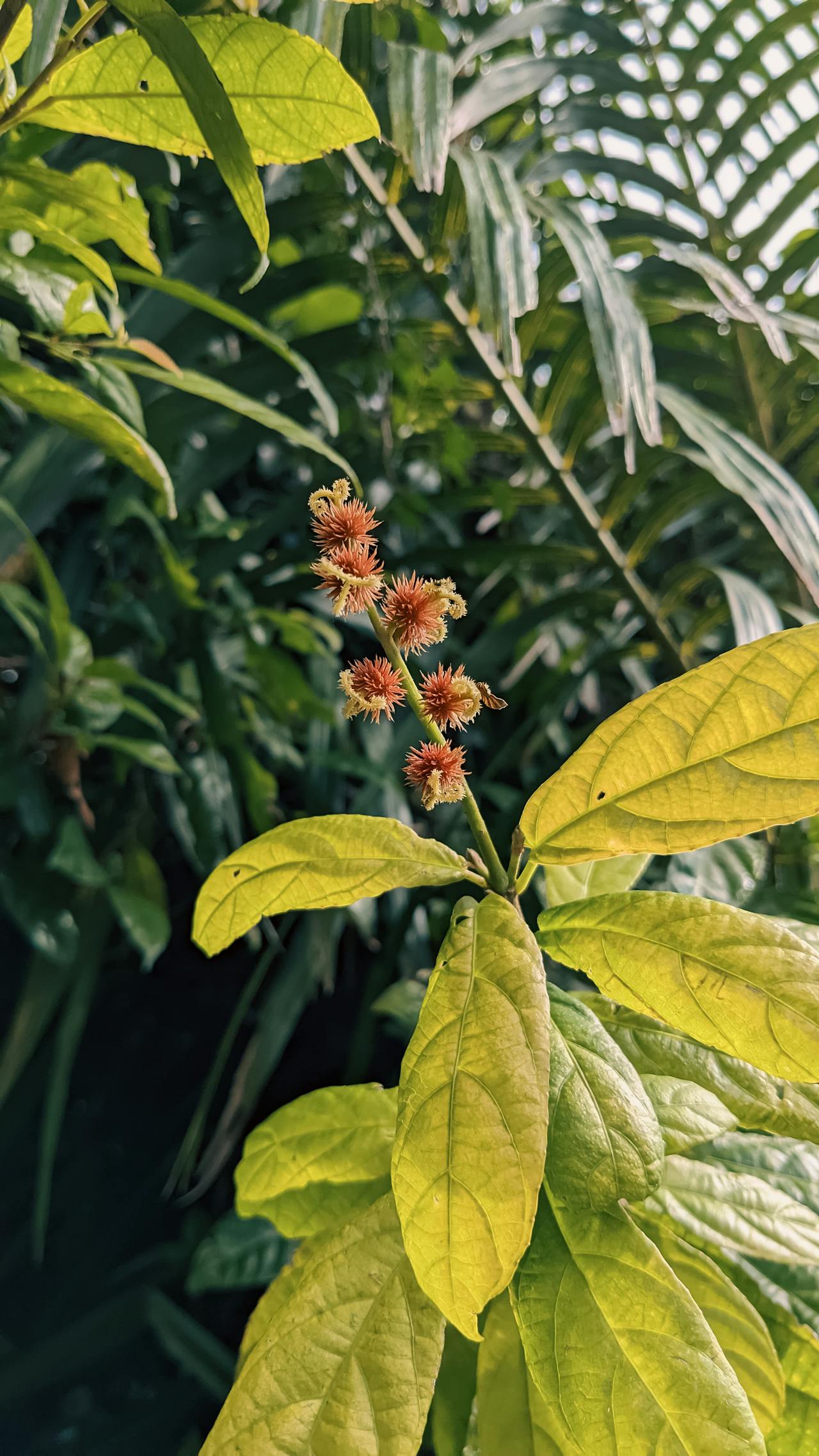 Cách tiên đoán tự ứng đã định hình lịch sử thế giới