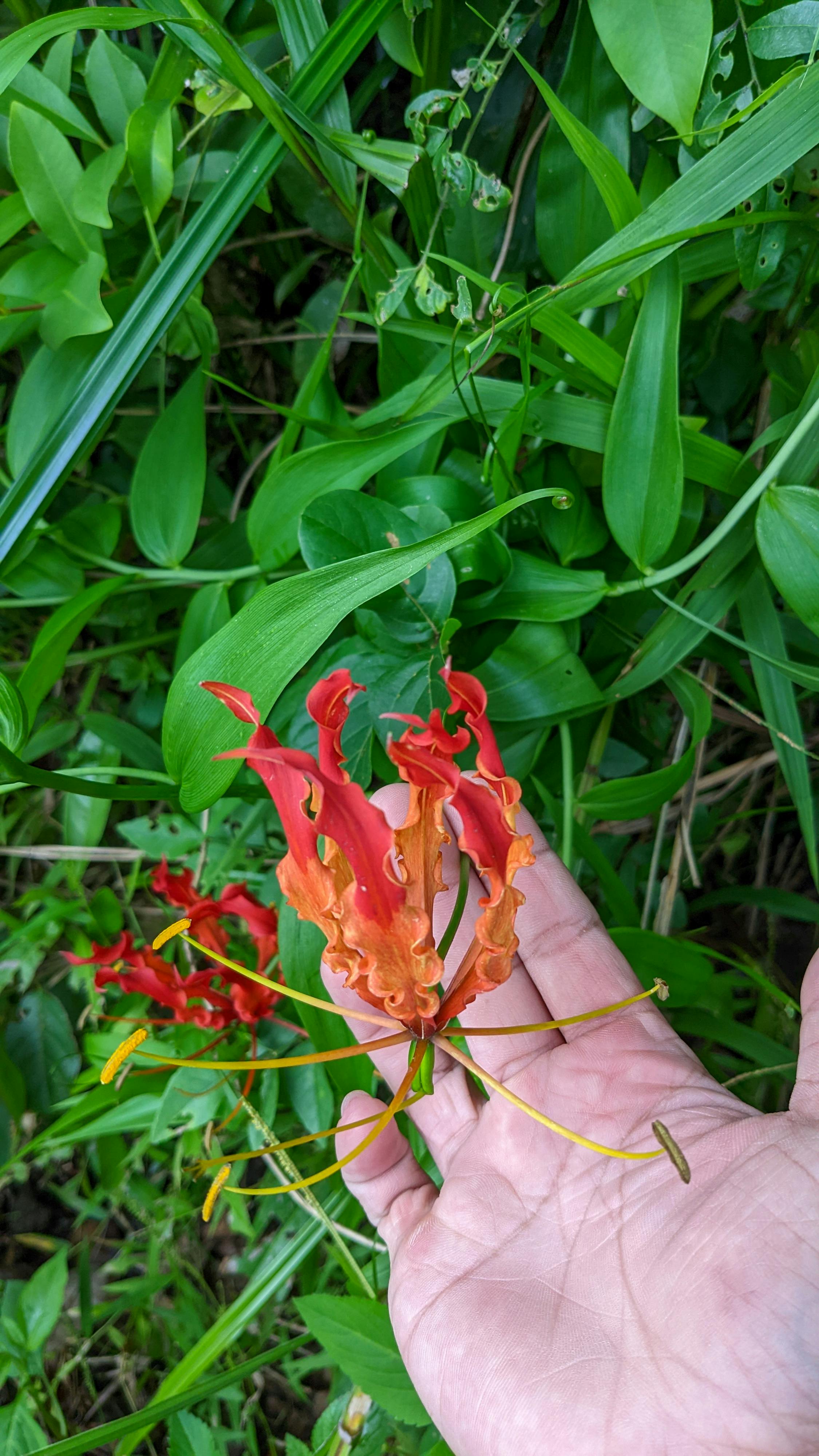 Trung tâm nghiên cứu văn học, phát triển nhà văn Việt Nam