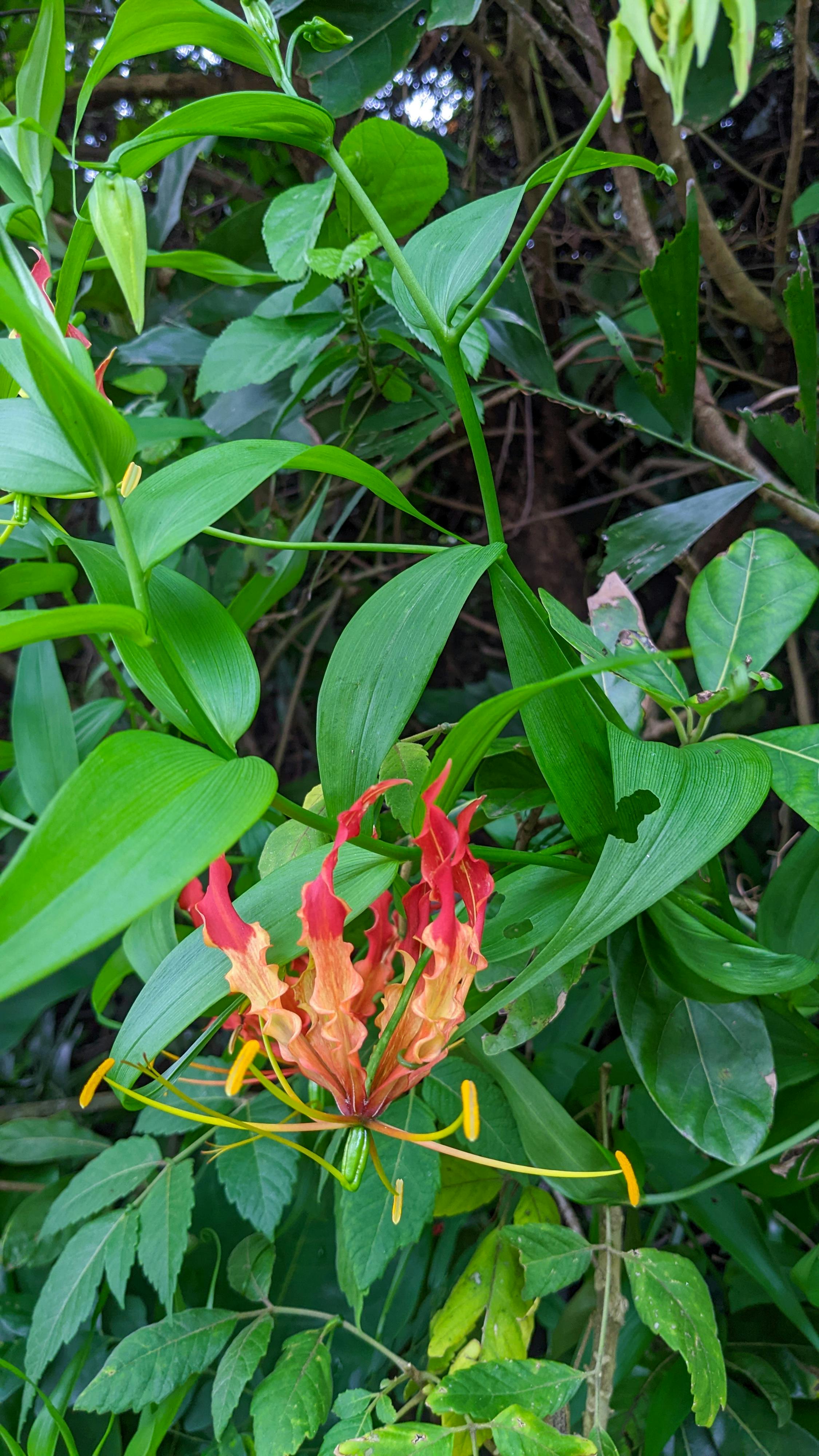 Thám tử lừng danh Conan | Chương 0725 870 – manga, gosho aoyama, case closed, tham tu lung danh conan, conan, detective conan, truyen tranh, trinh tham, pha an, trinh tham, kinh di, truyen conan, doc truyen conan, tham tu lung danh conan chuong 0705, tham tu lung danh conan 0705, tham tu lung danh conan 0725.