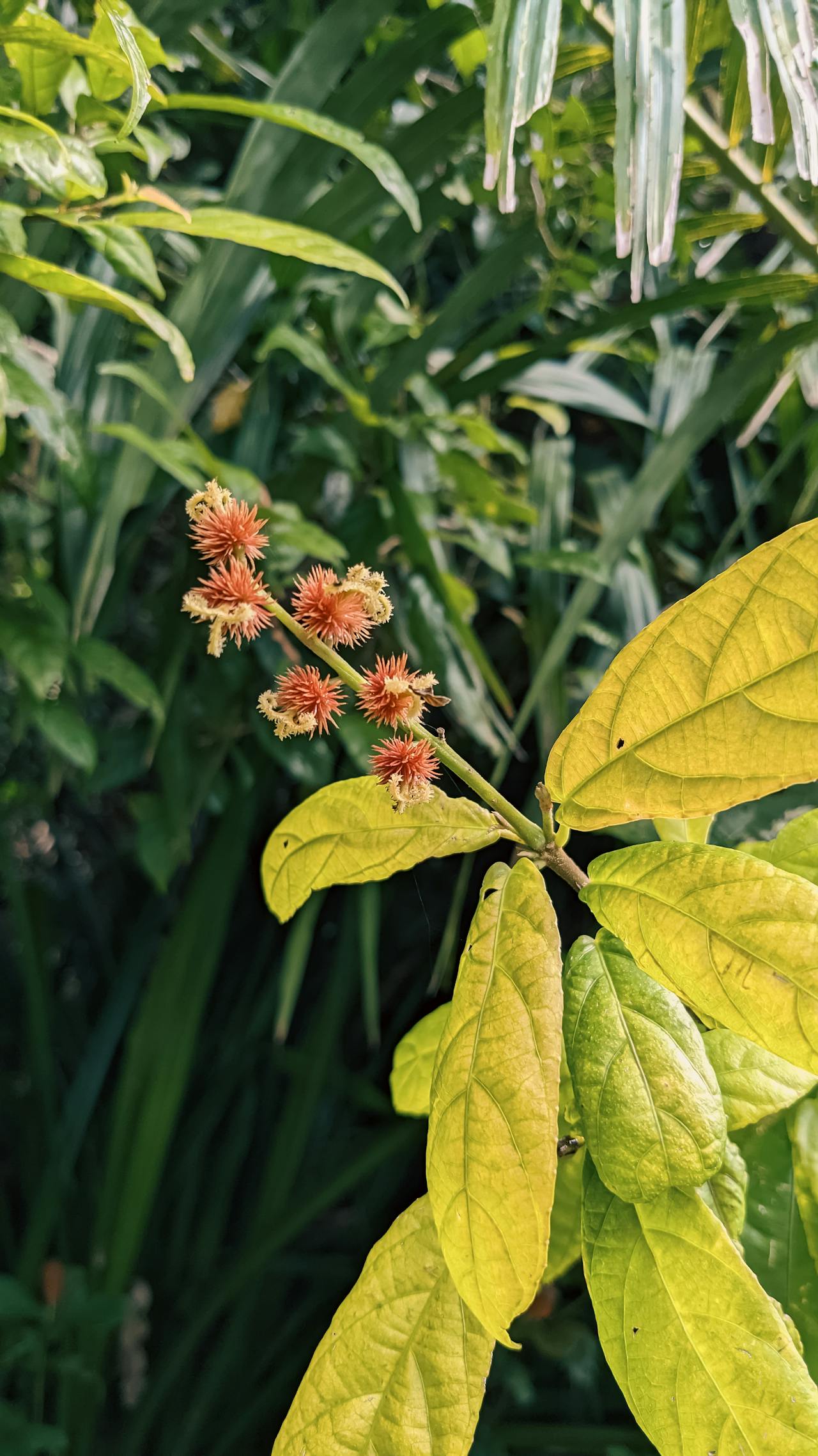 Hiểu về trái tim | Chương 30